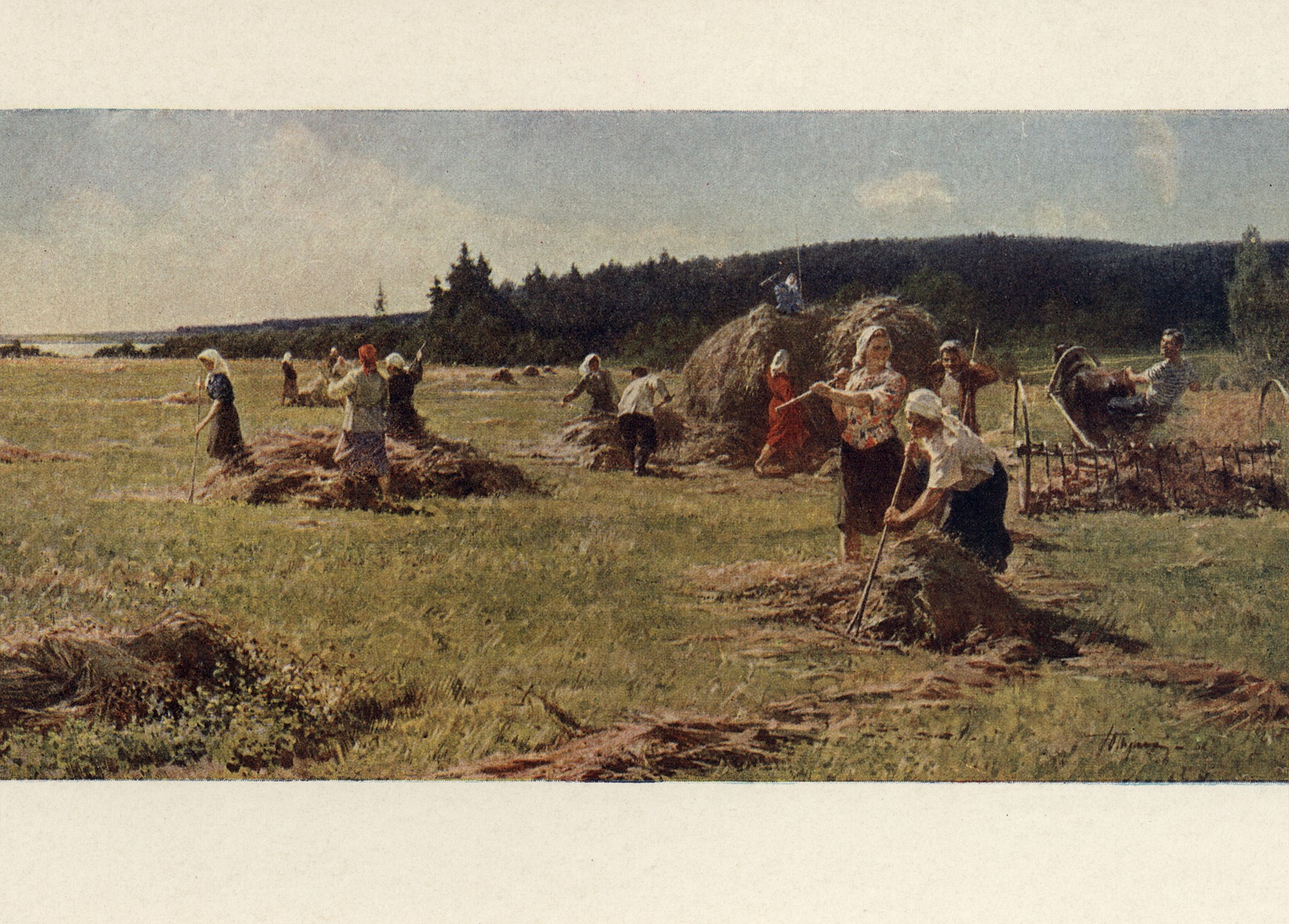 Клевер убирают