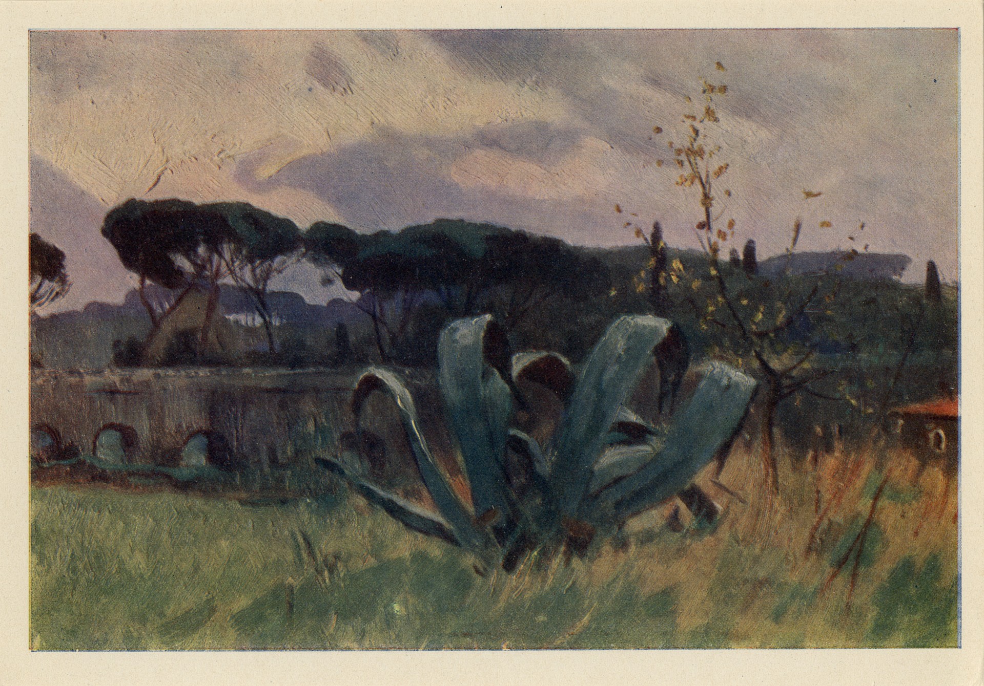 Рим. Агава и Пинии