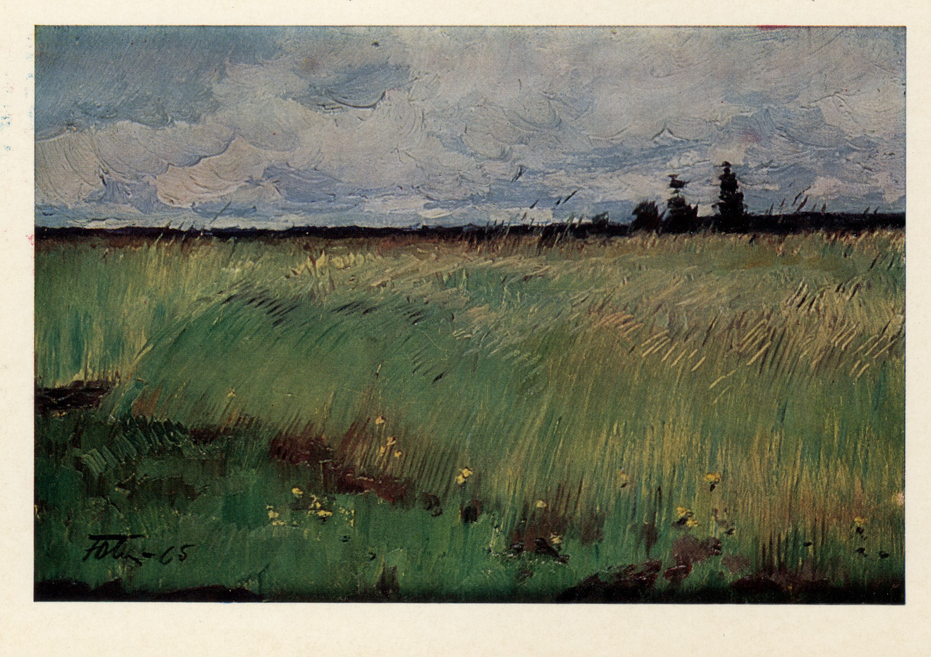 Рожь зелёная