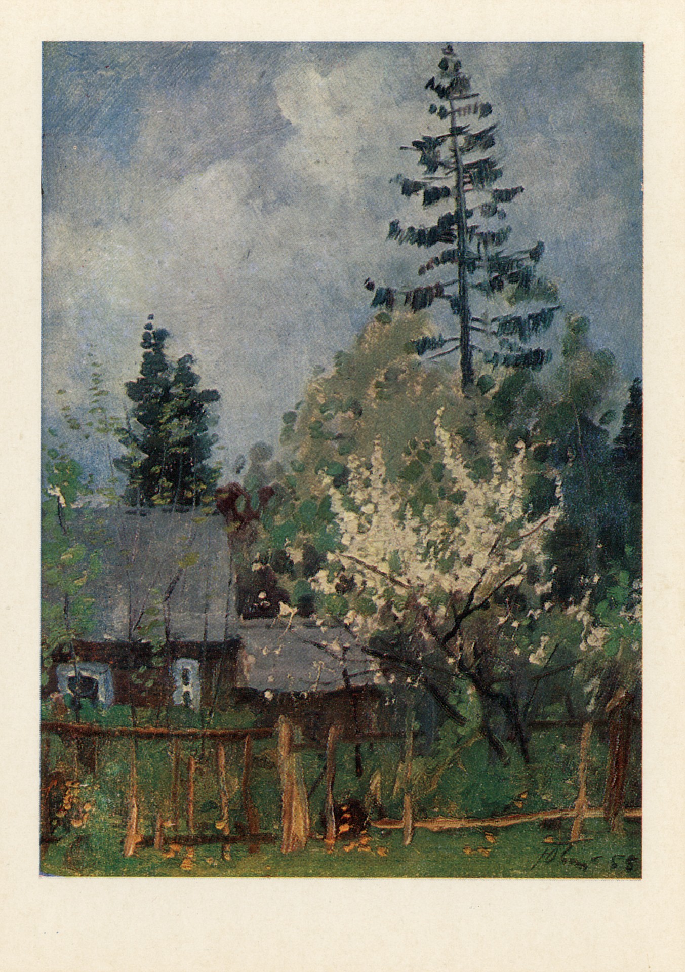 Вишня цветёт