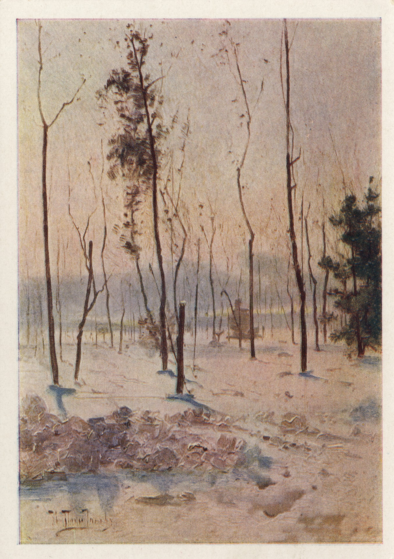 Ясная Поялна зимой