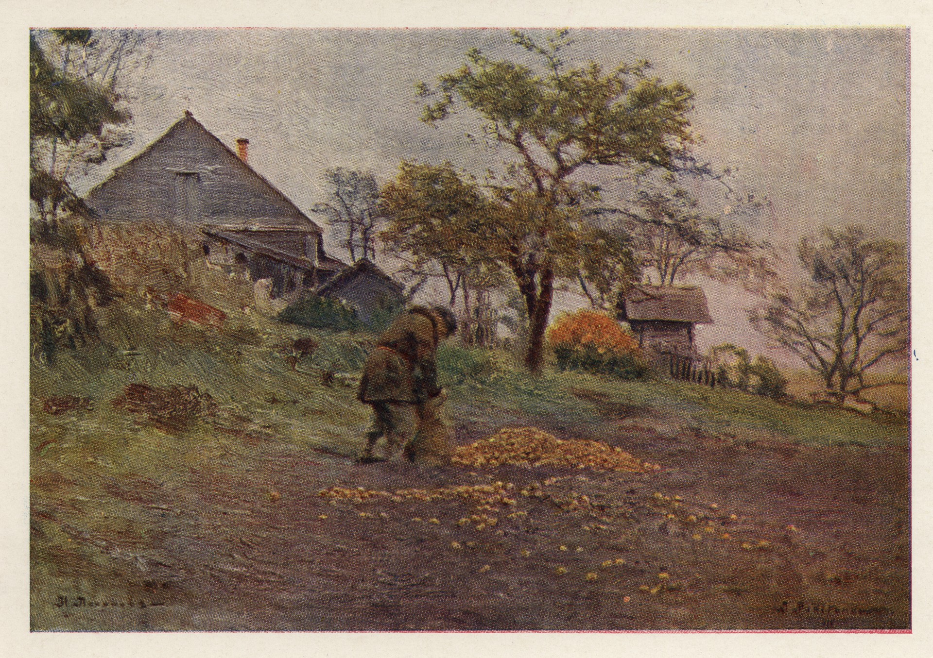 Уборка картофеля. Жабовщизна