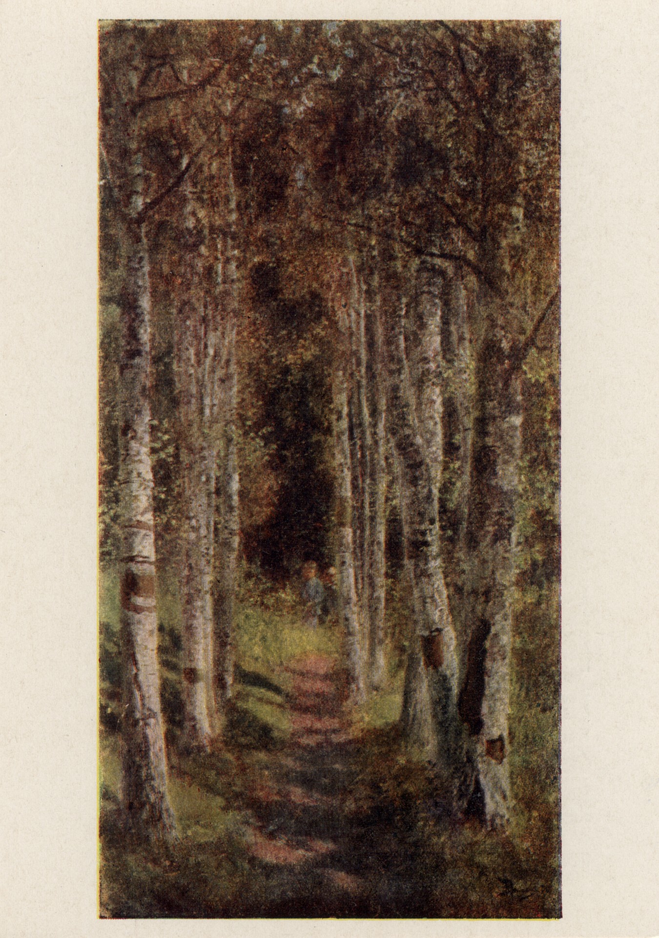 Берёзовая аллея в Абрамцеве