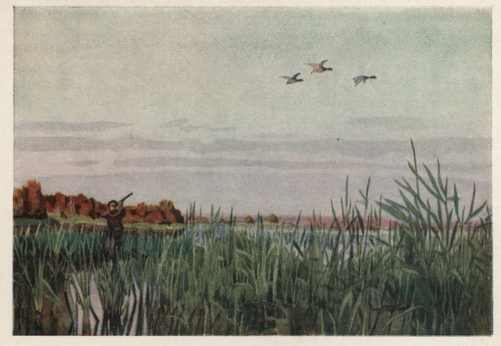 На перелёте