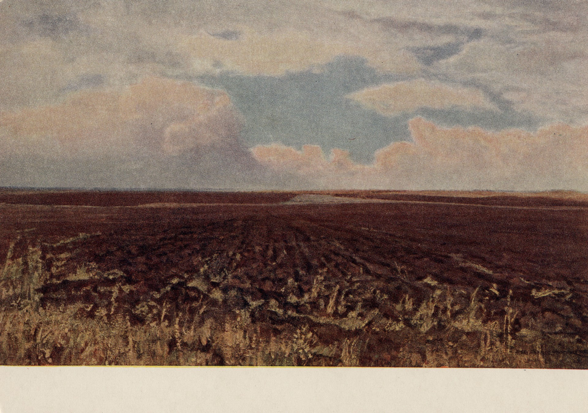 Пашня в целинной степи