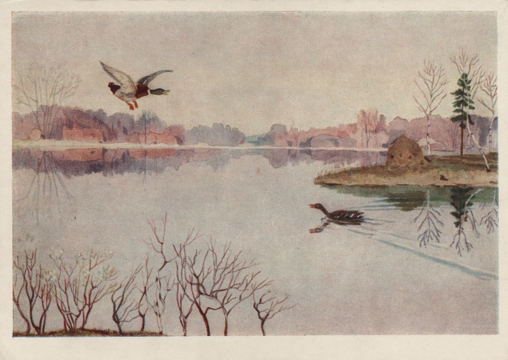 Утро на охоте