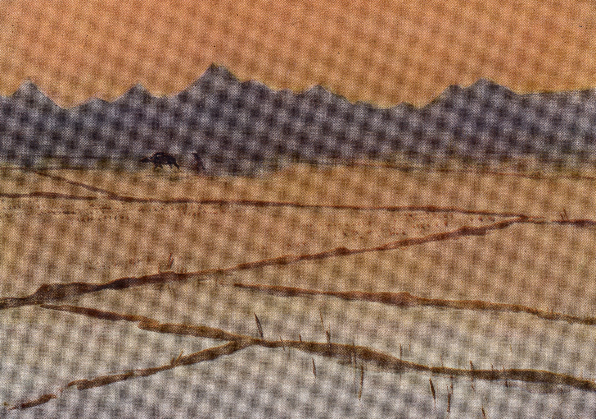 Рисовые поля