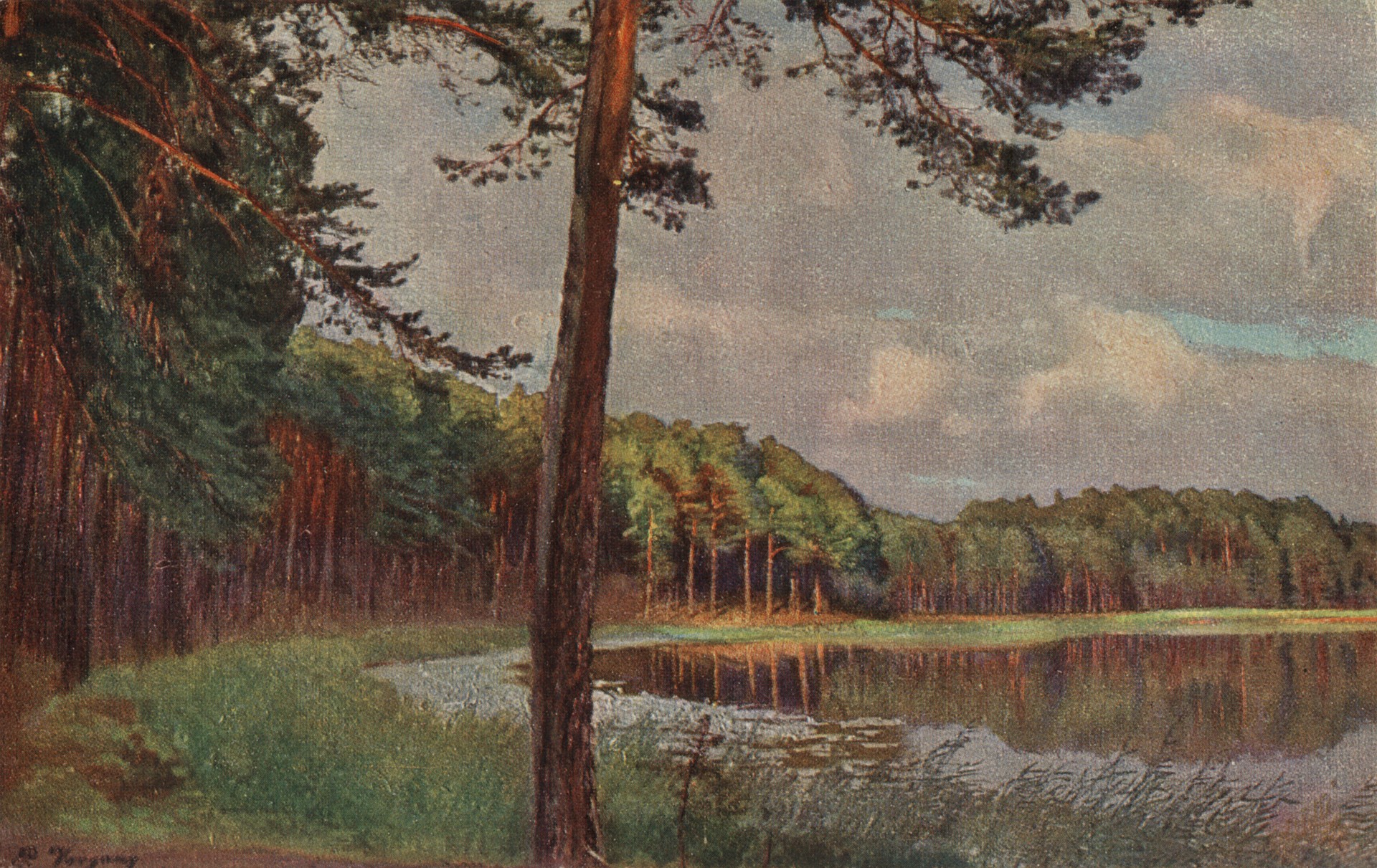 Пруд в лесу