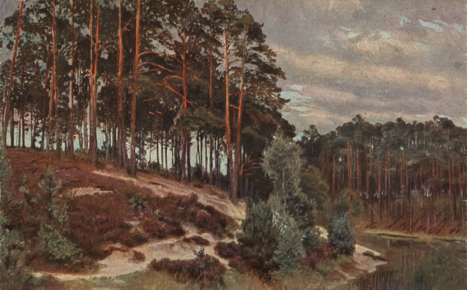 Река в лесу