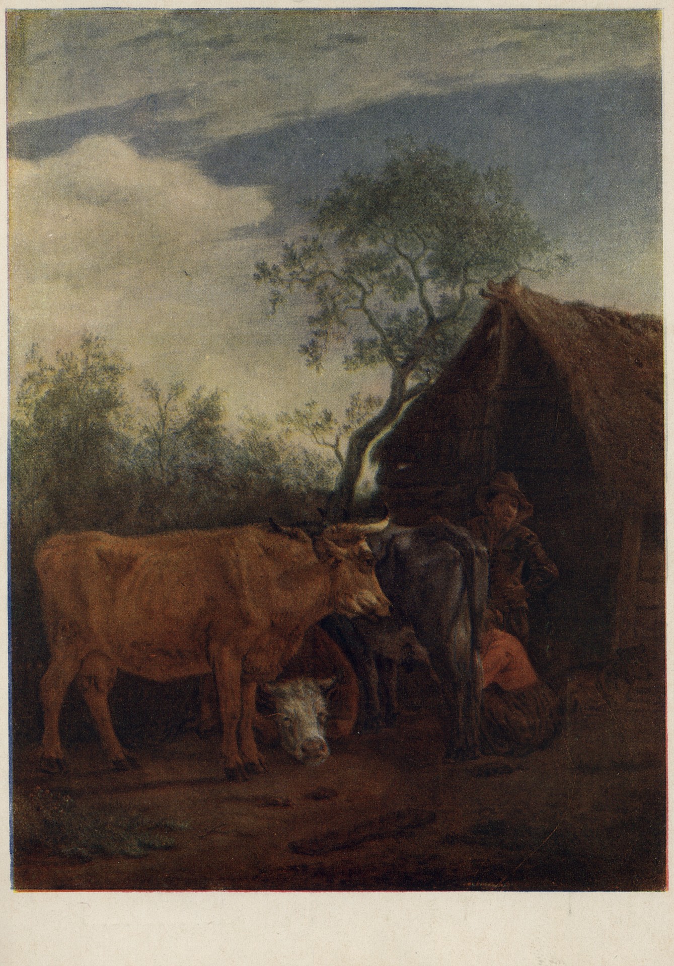 Доение коровы