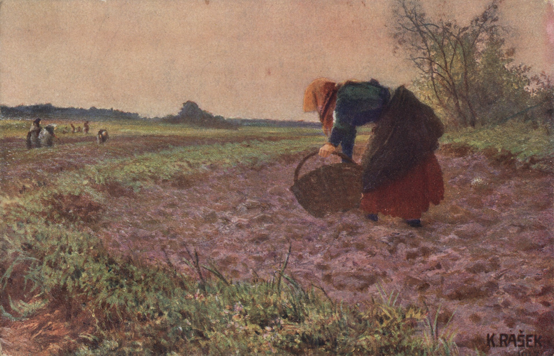 Копание картошки