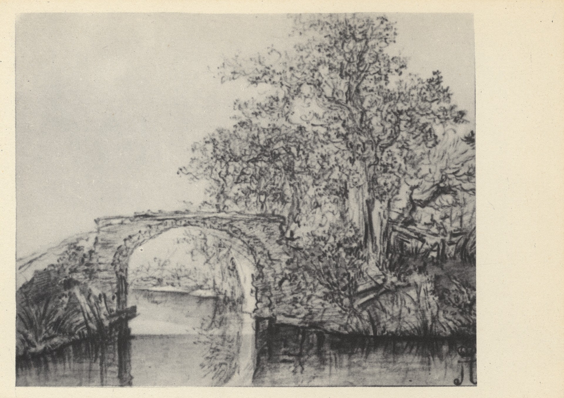 Пейзаж с деревьями возле моста