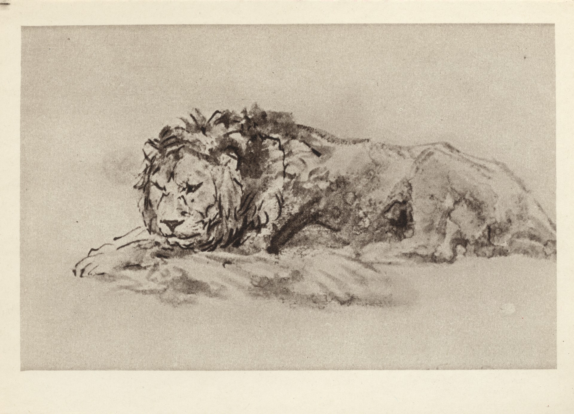 Отдыхающий лев