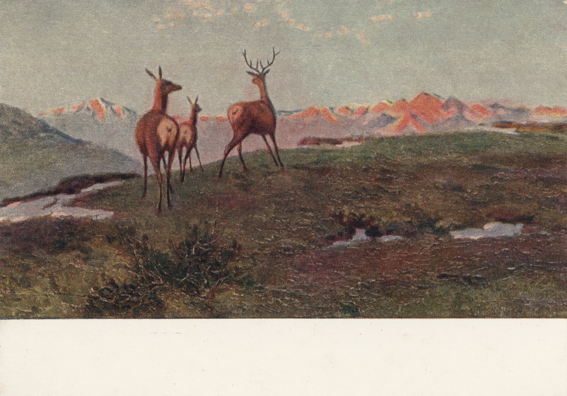 Саяны. Далёкий выстрел (Фрагмент)