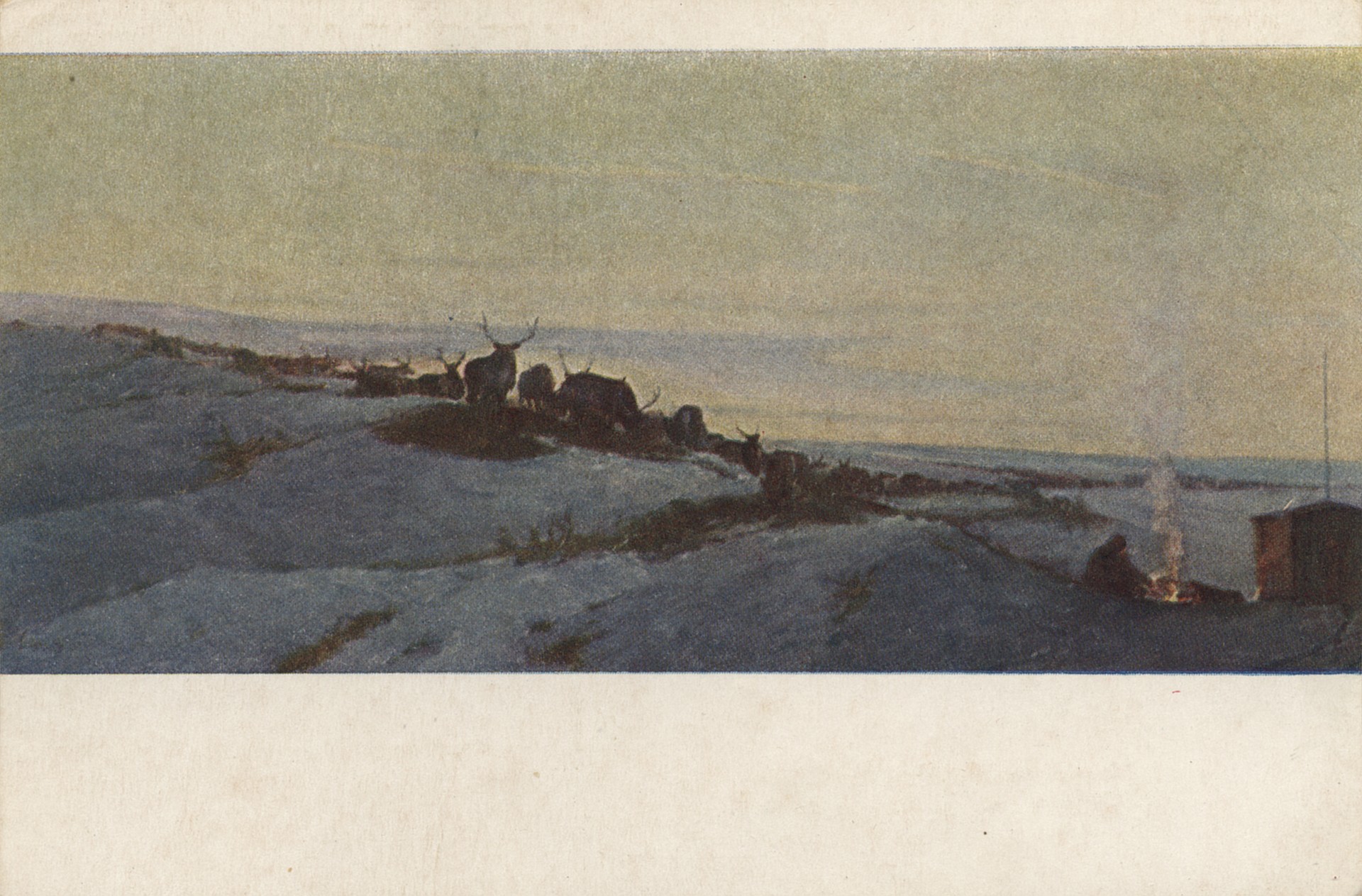 Тундра весной. Стадо оленей