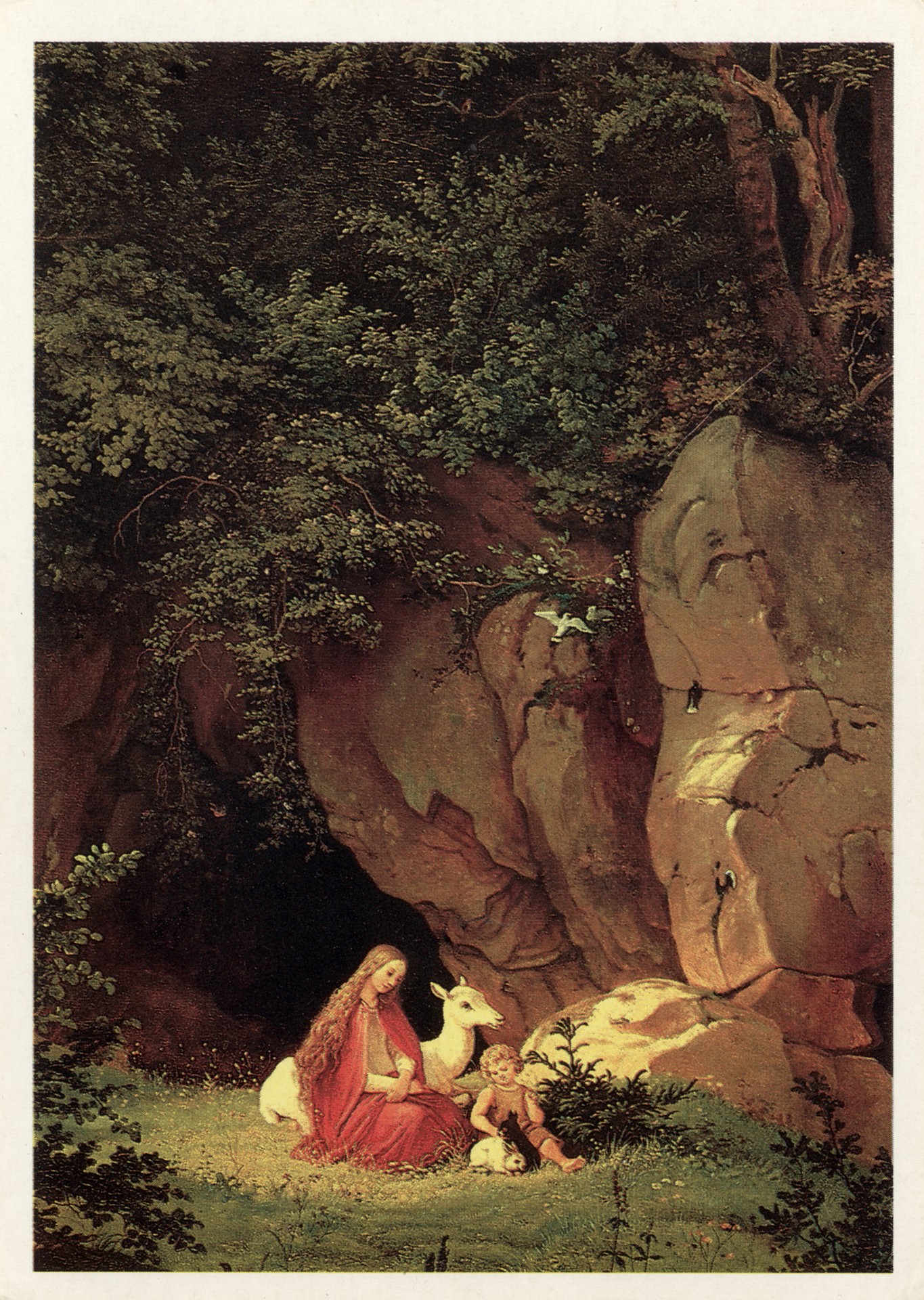 Отдых в лесу