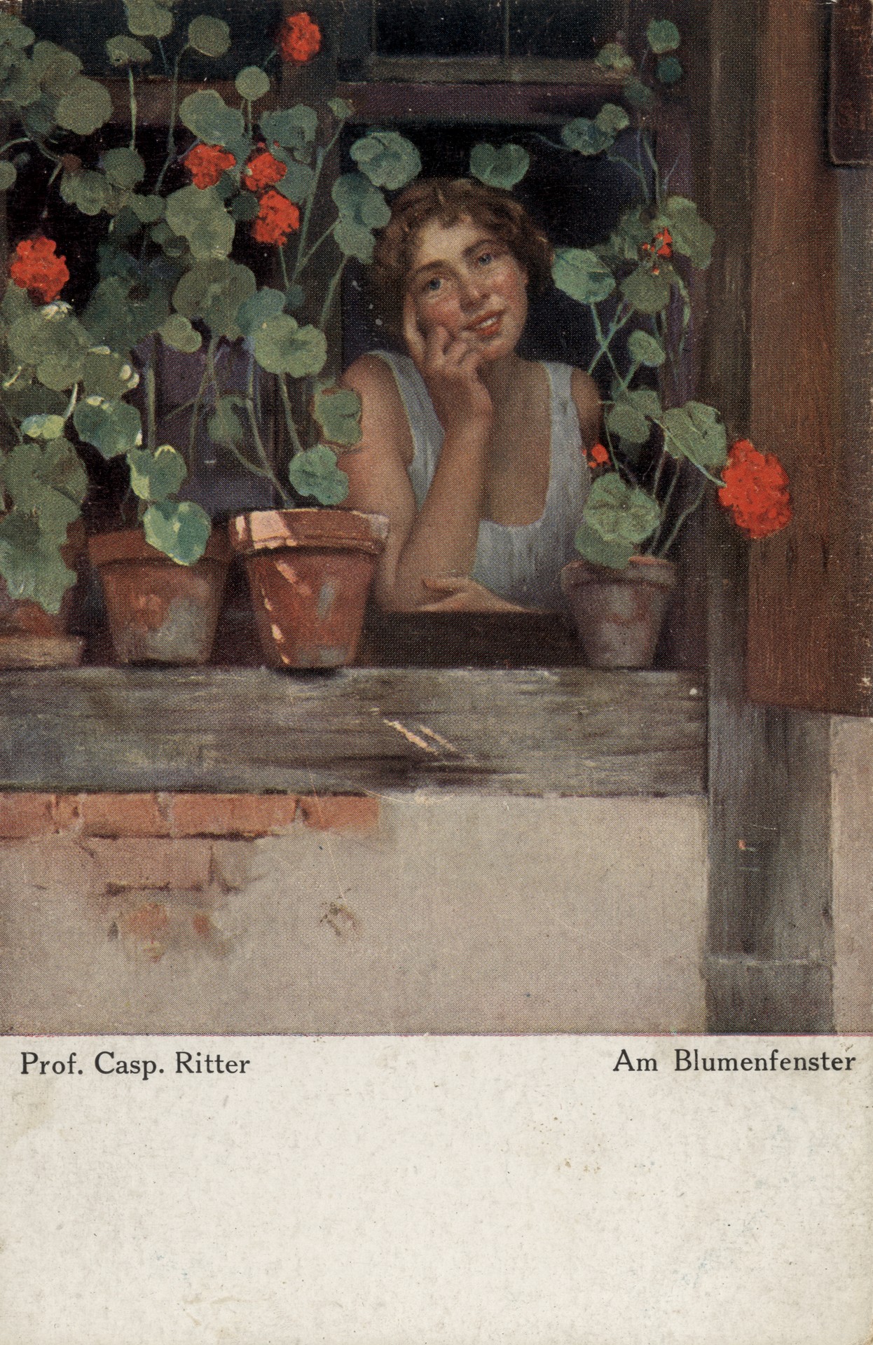 У оконных цветов