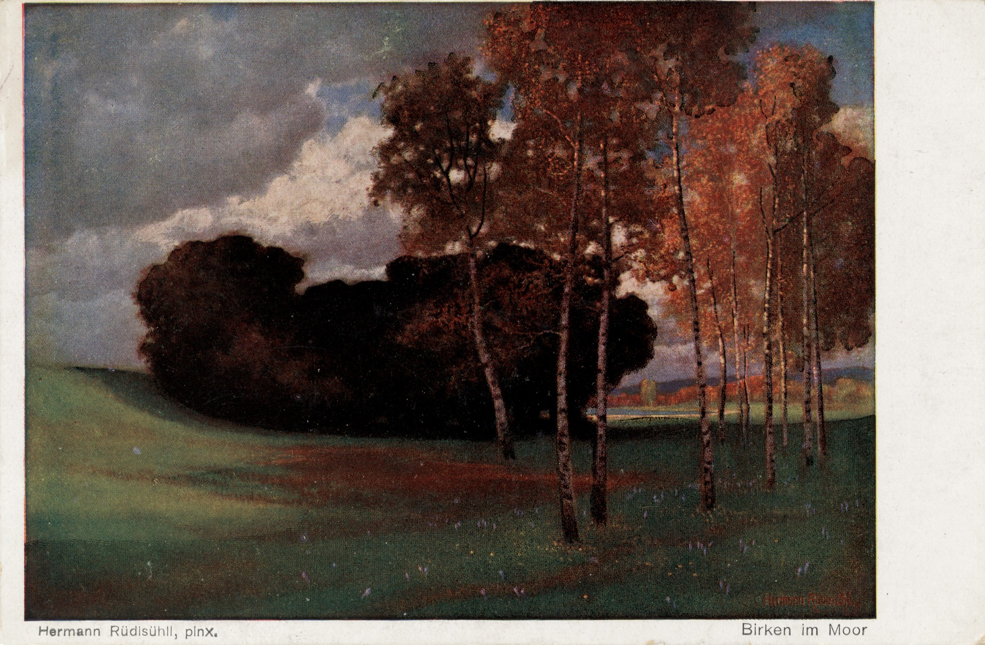 Берёзы в болотистом месте