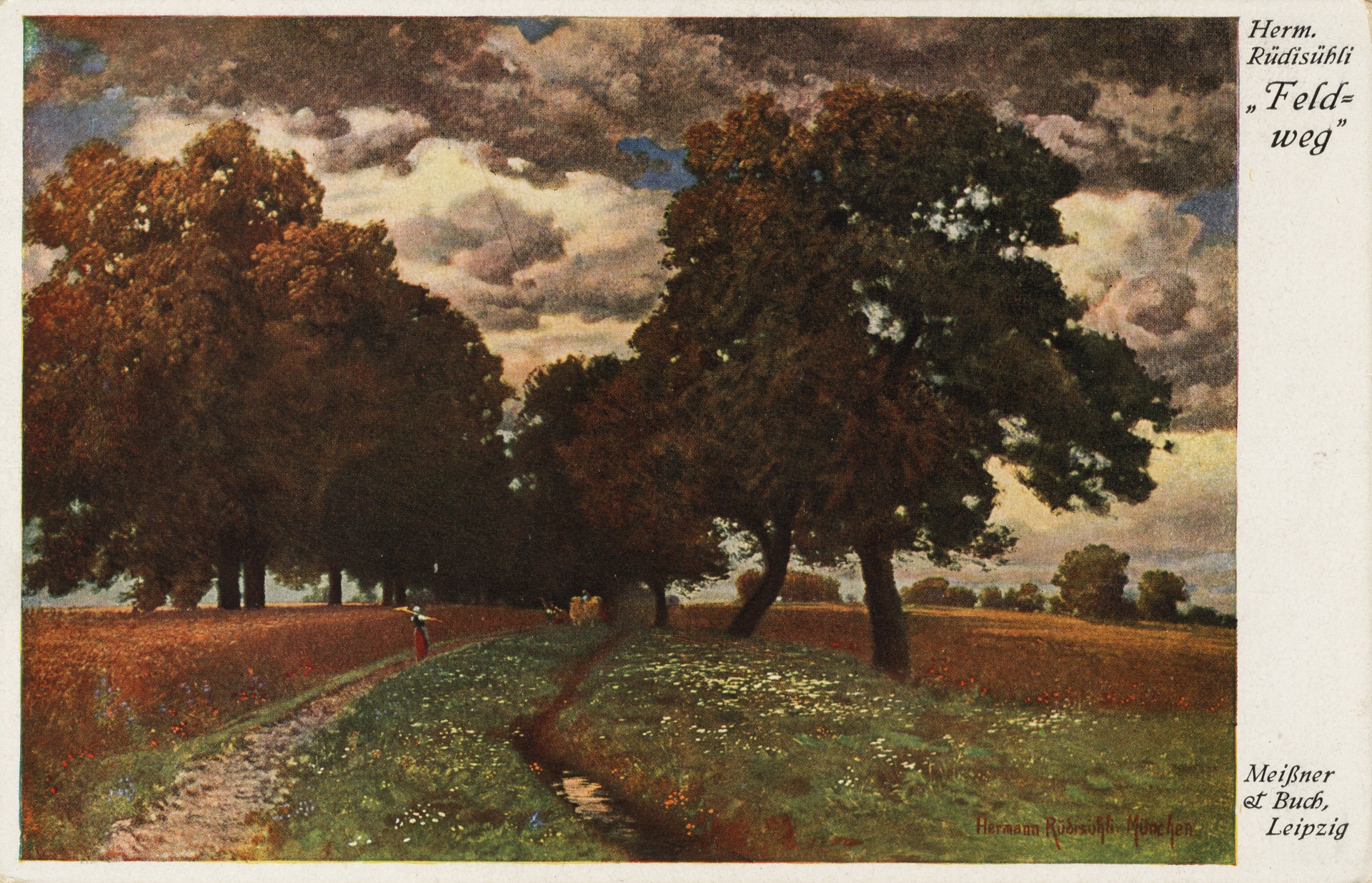 Полевая дорога