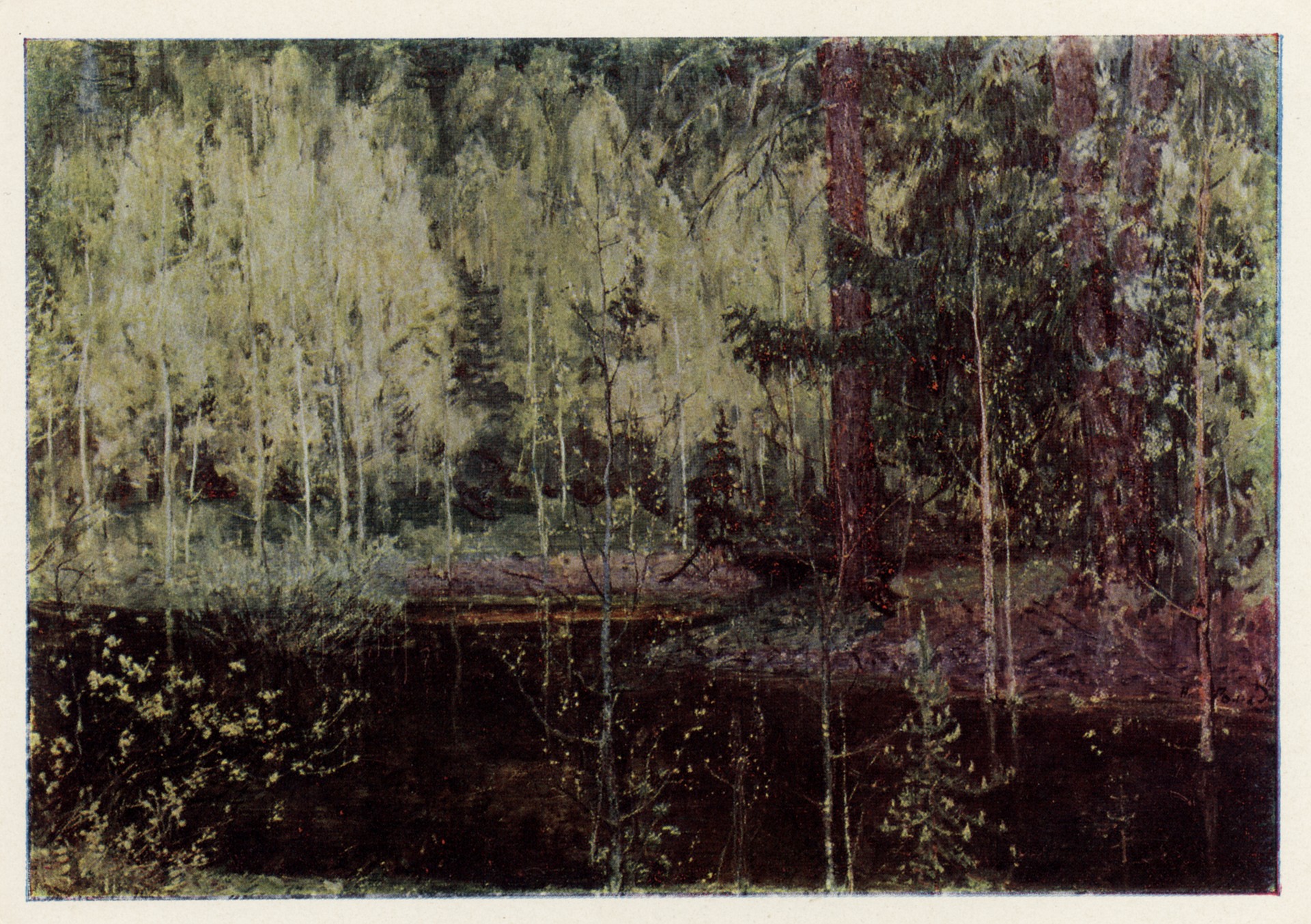 Лесная речка