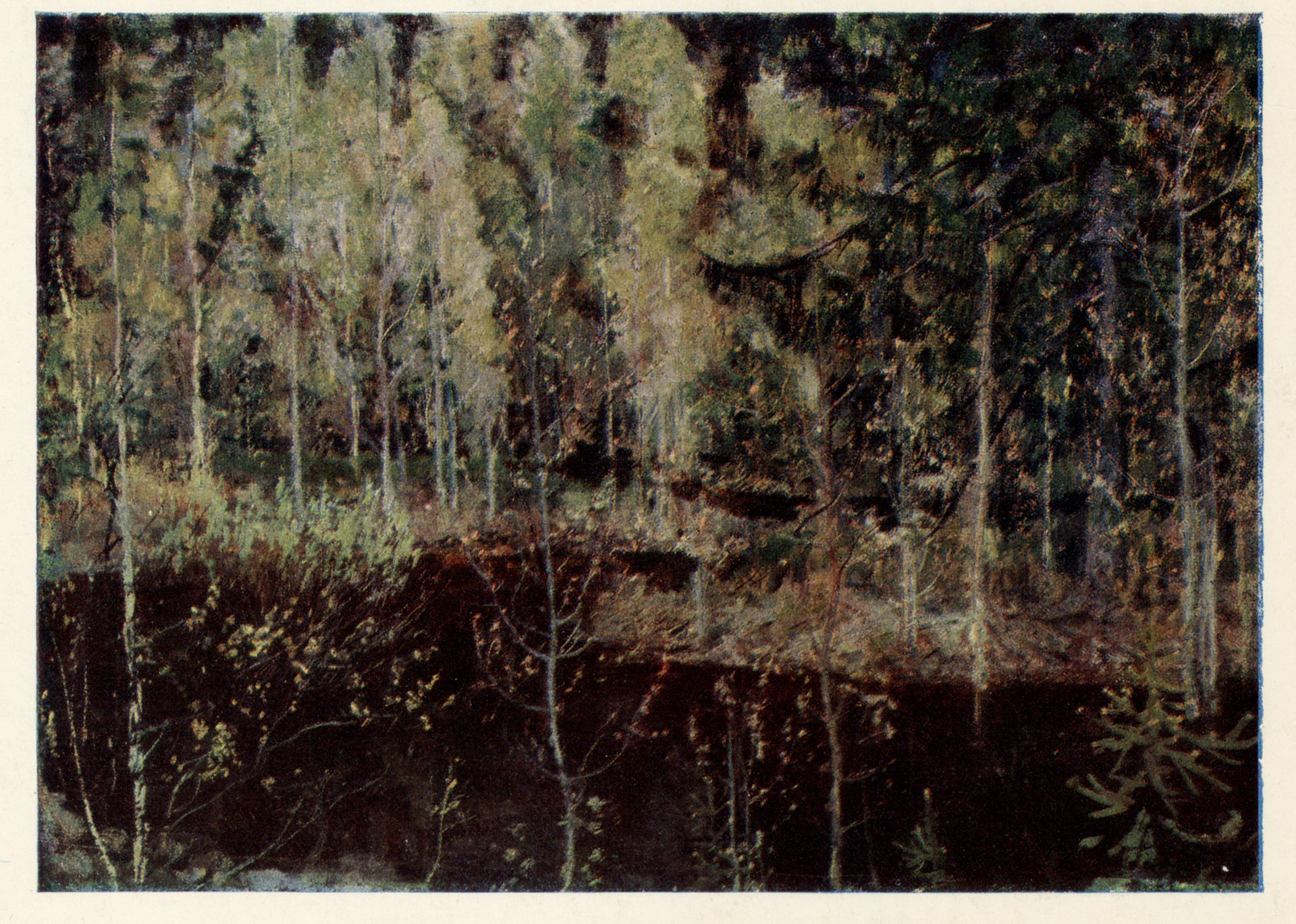 Лесное озеро 1