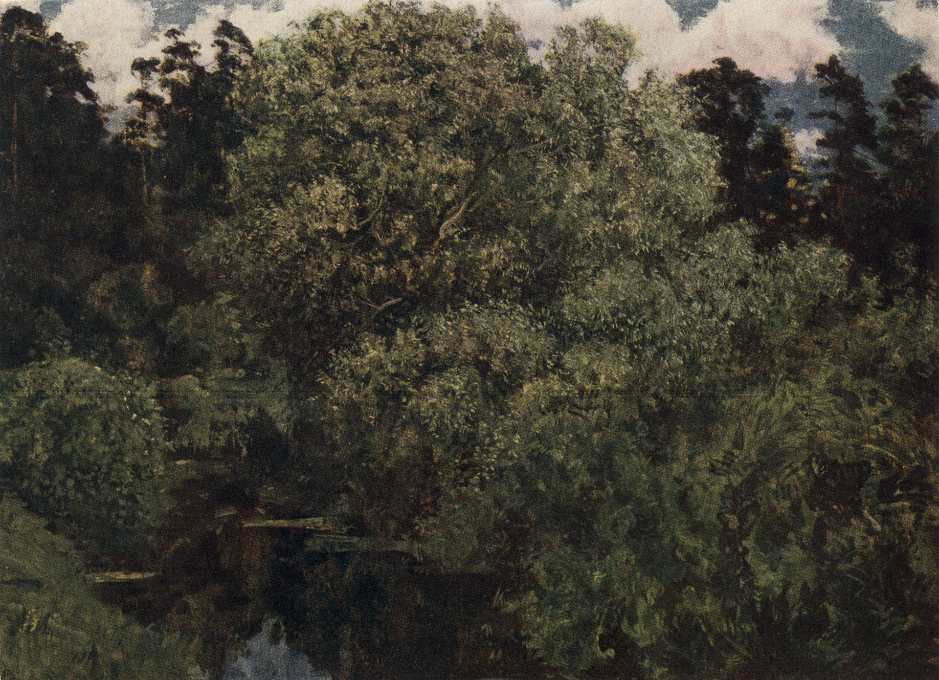 Славянка тихая