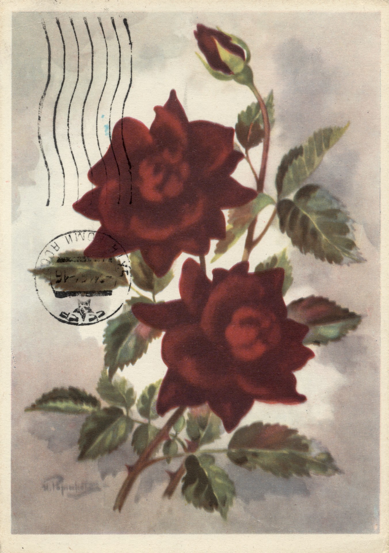 Роза Фидель Кастро