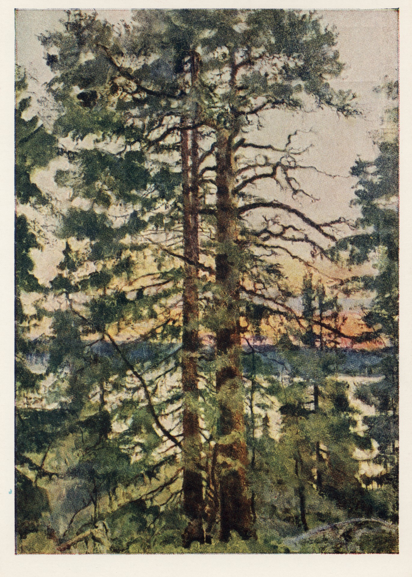 Белая ночь на Пурнемском озере