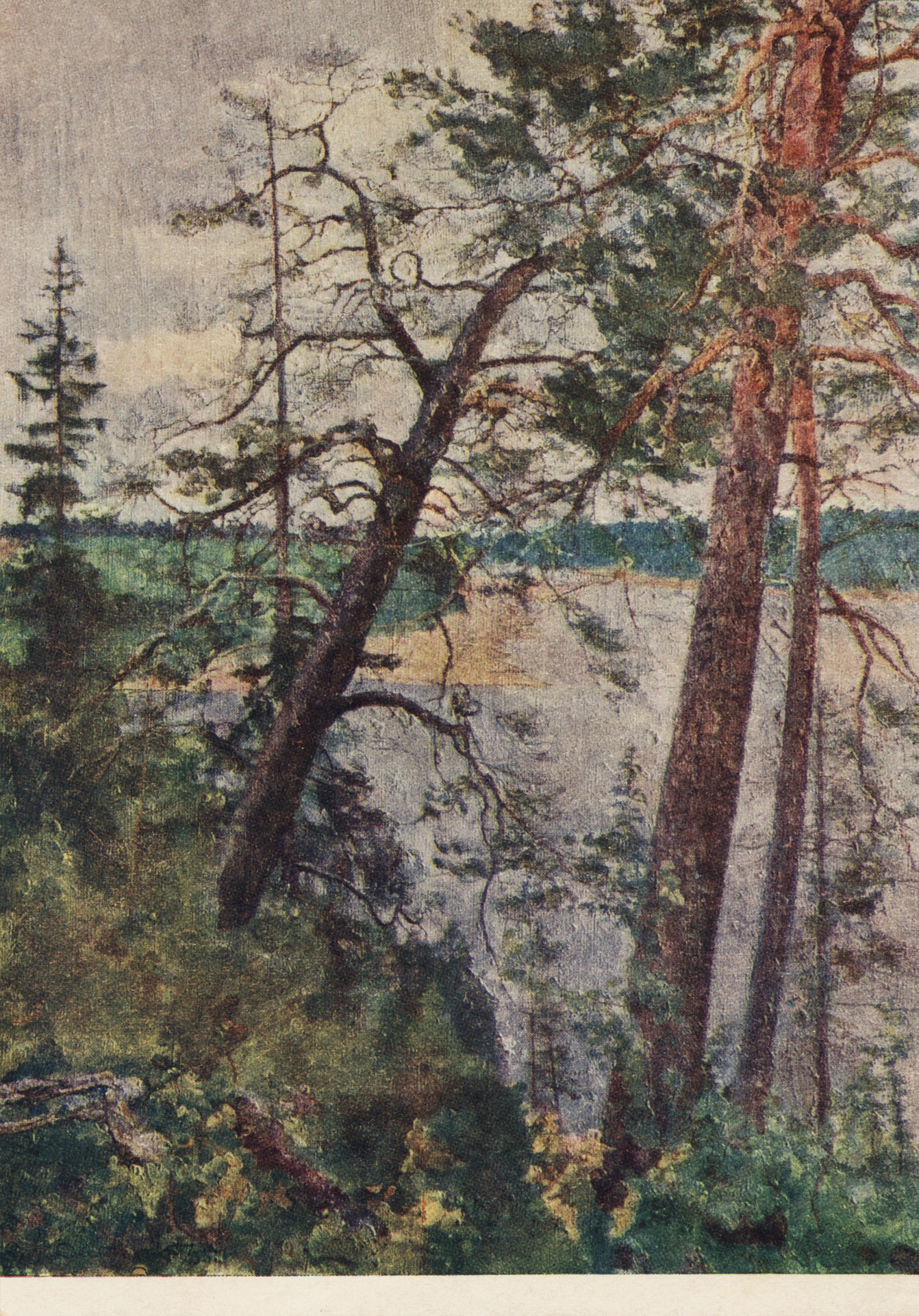 Север. Река Пинега