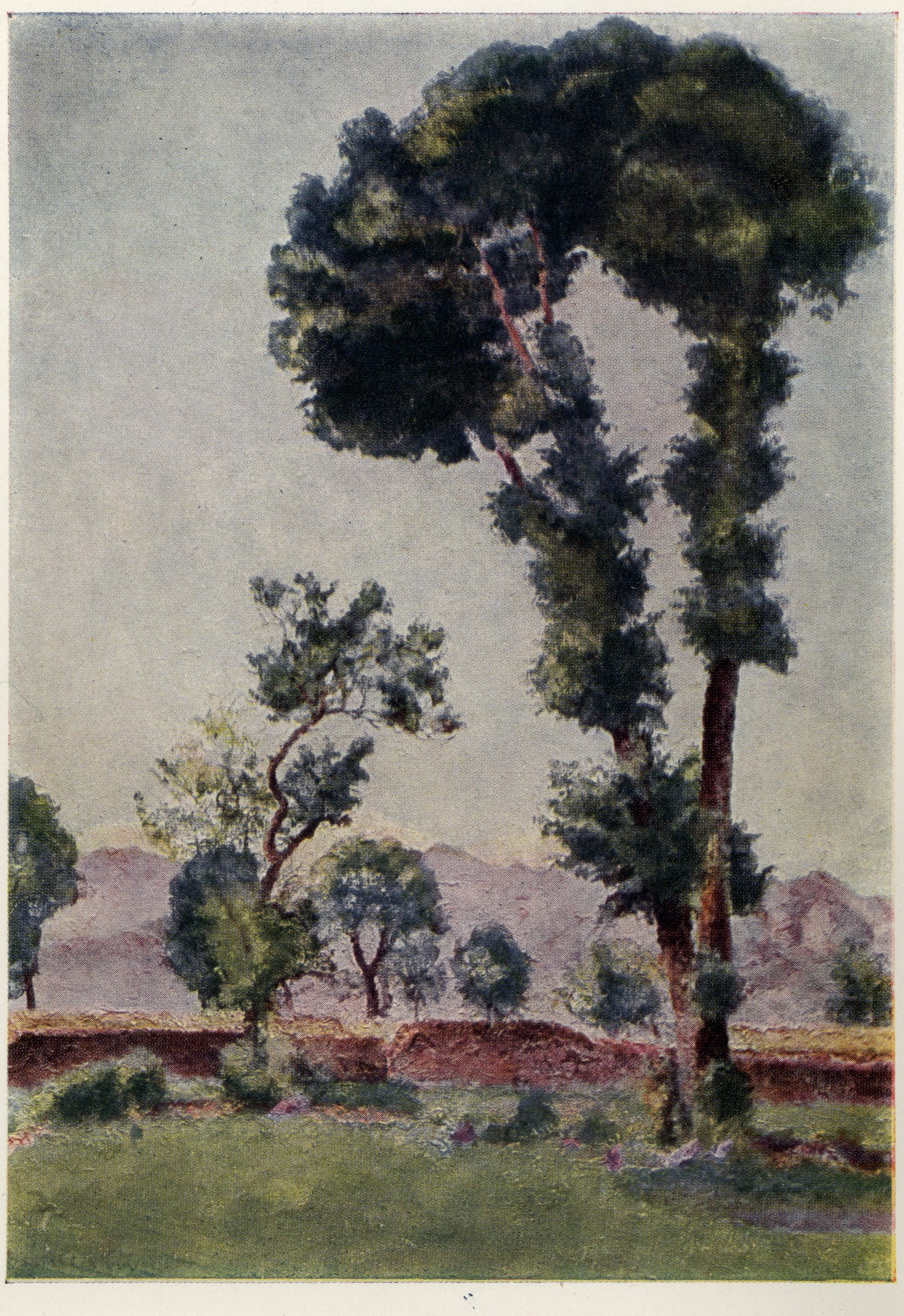 Таджикистан. Утро