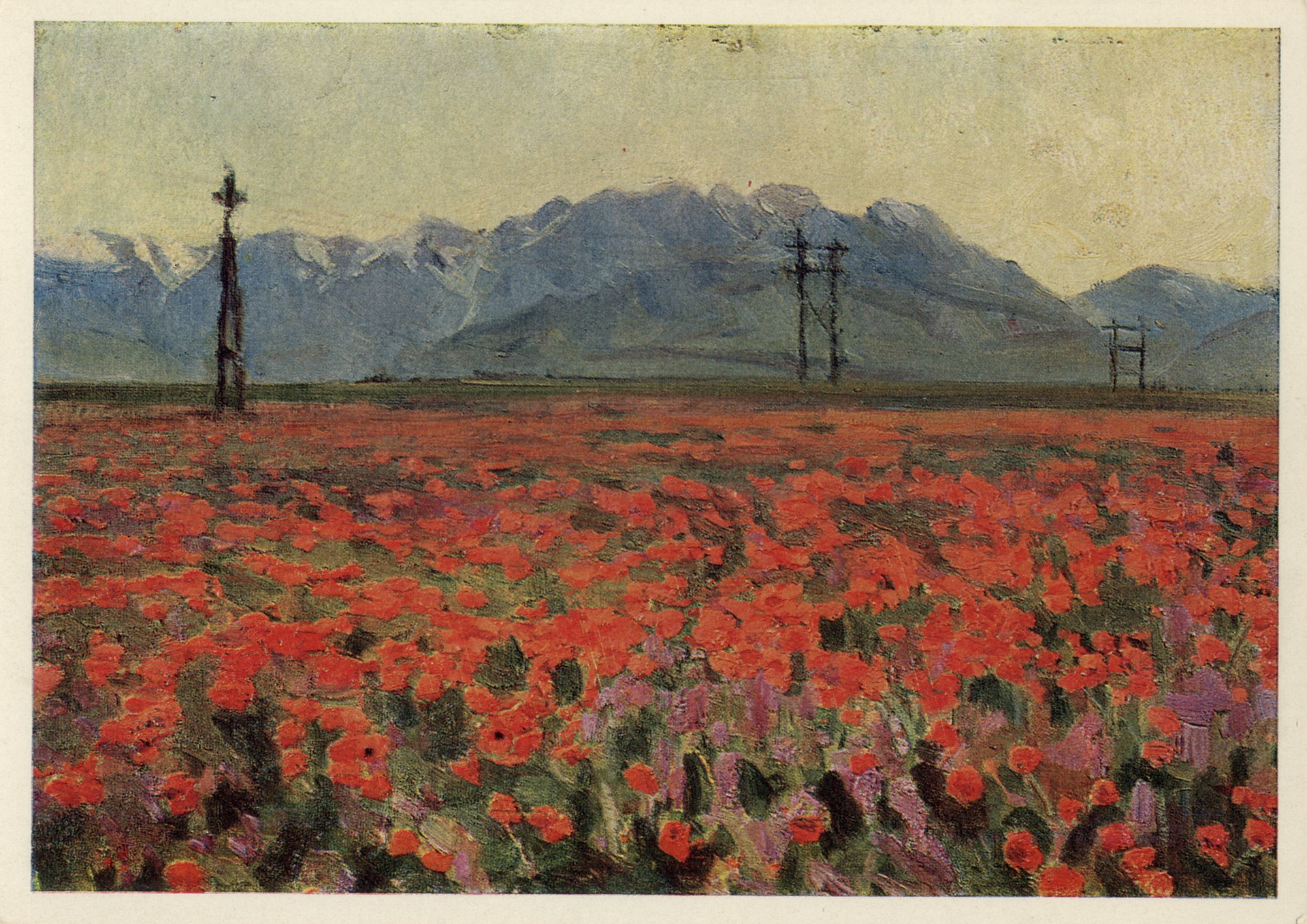 Маки в степях Киргизии