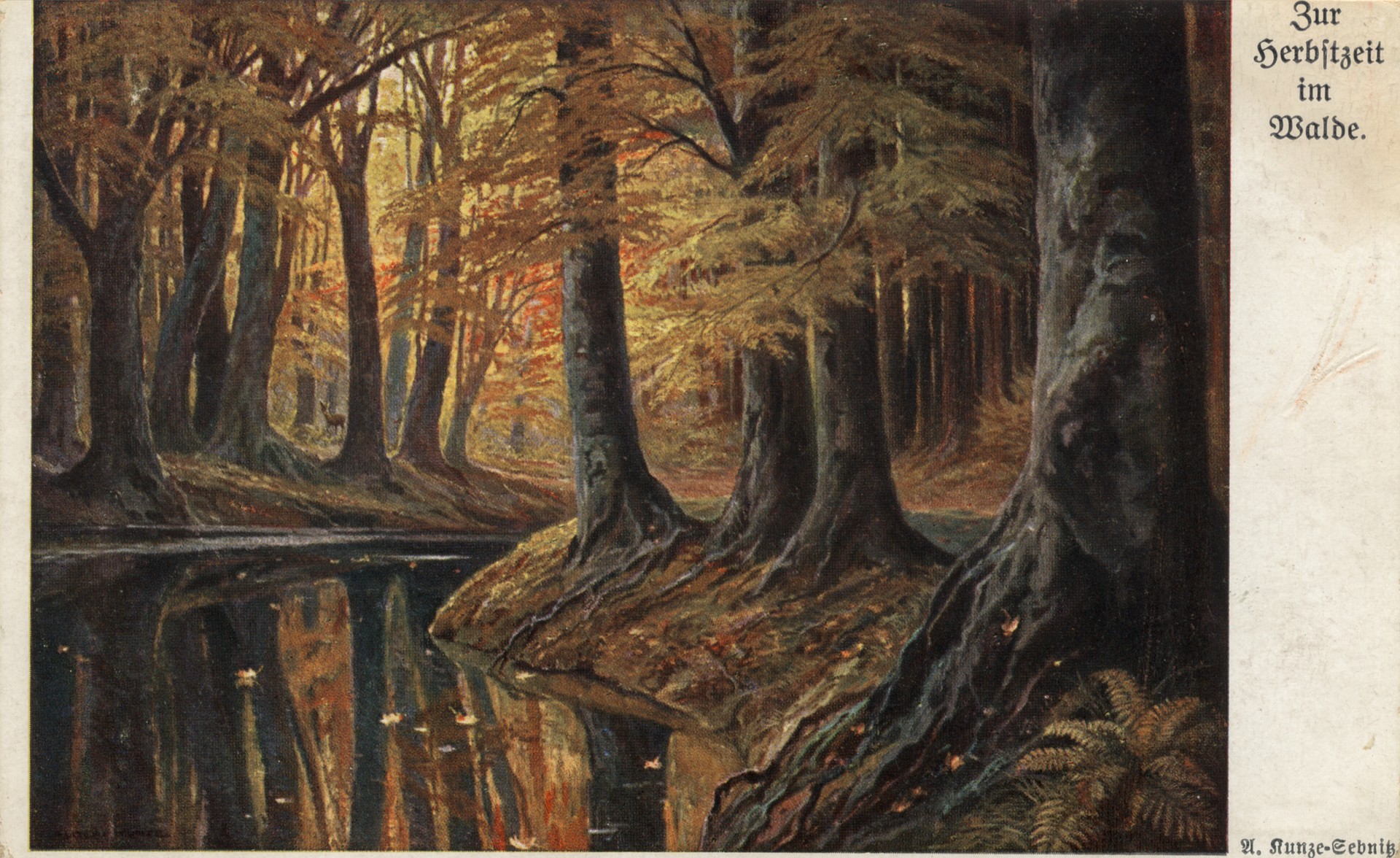 Речка в лесу