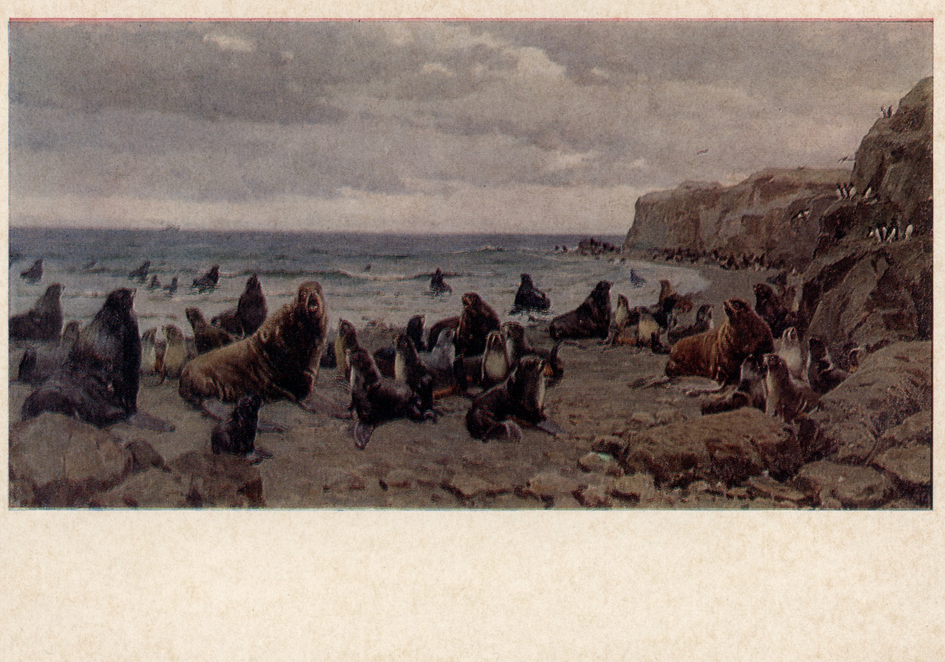 Котиковый пляж