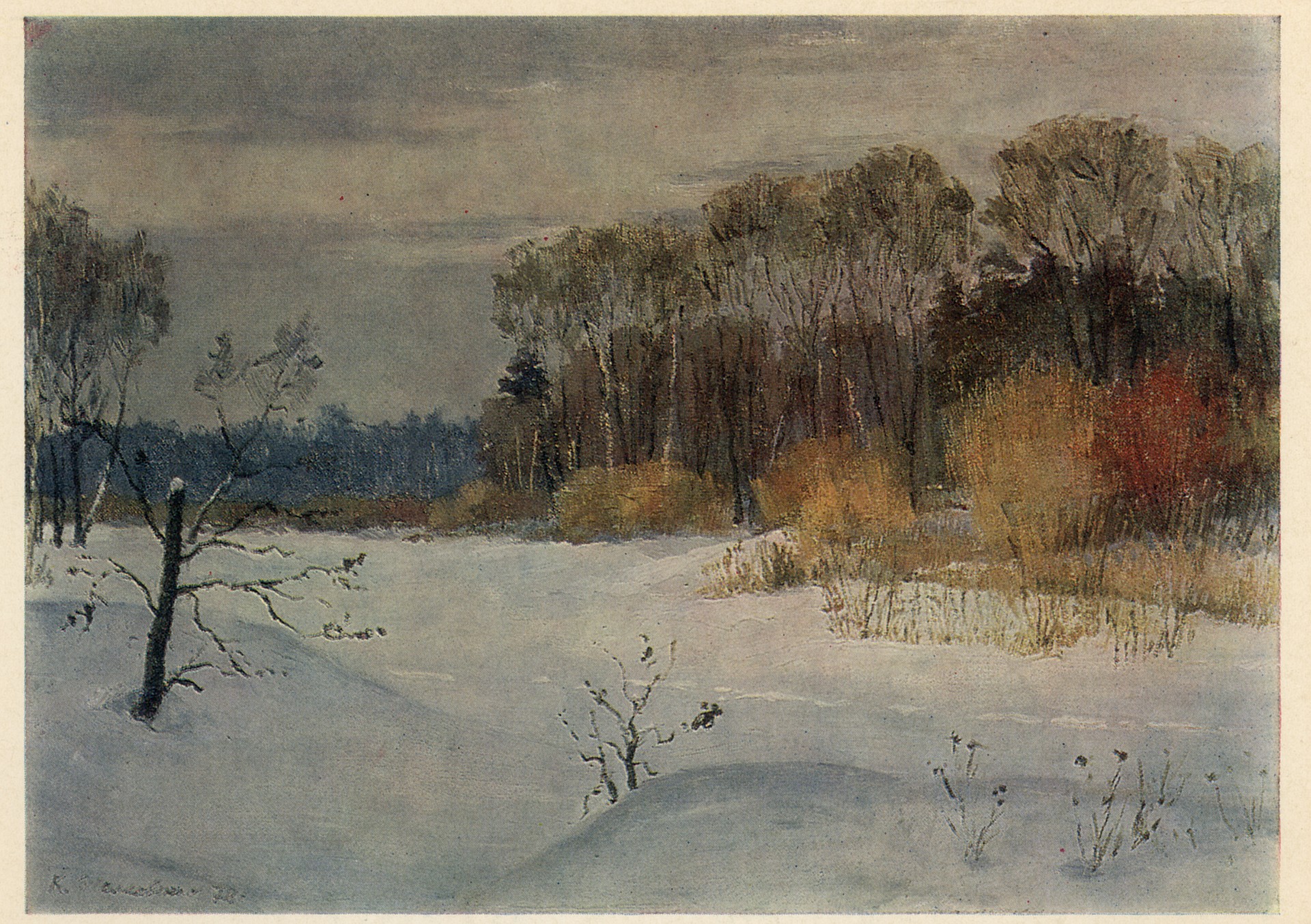 Мещера заснеженная