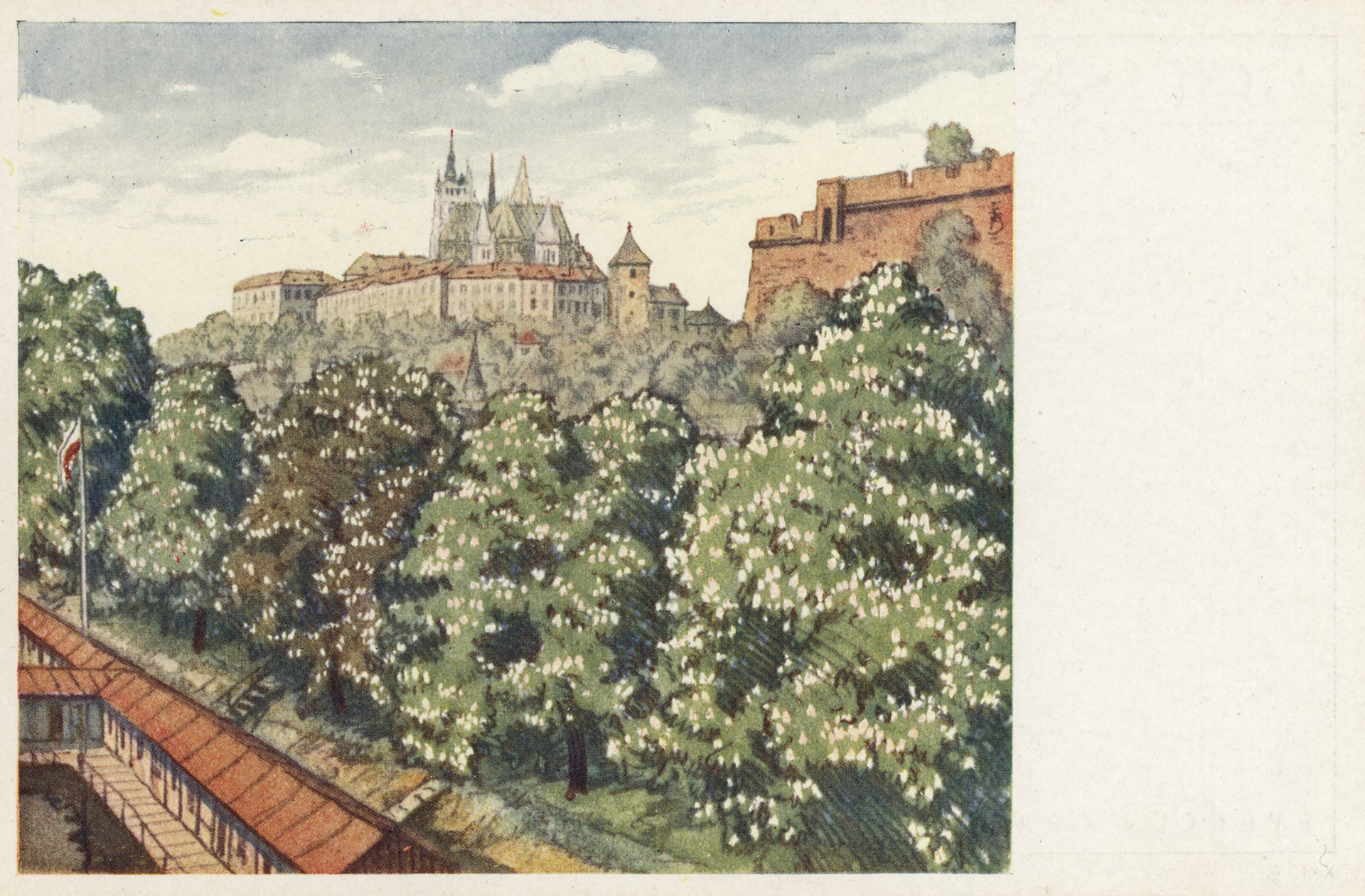 Цветущие каштаны над градом