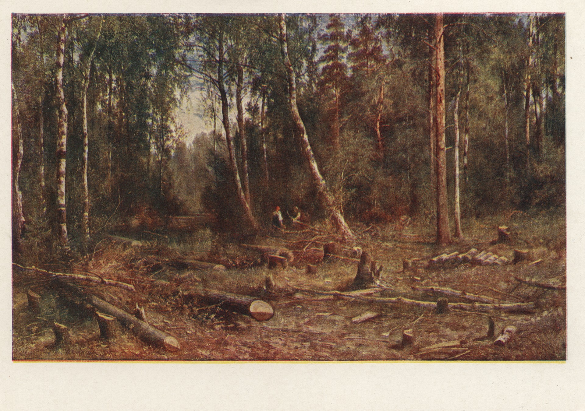 Берёзовый лес