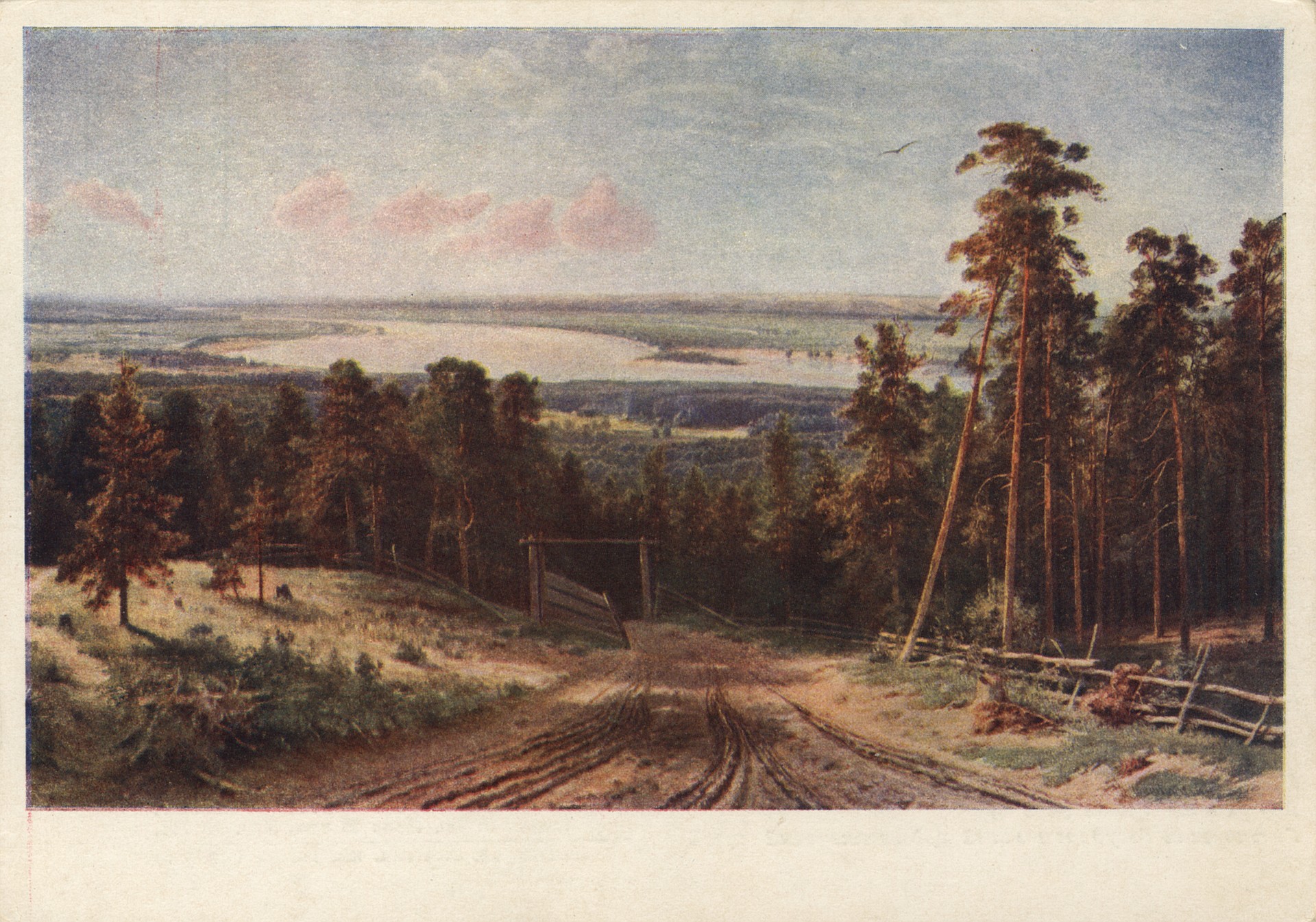 Дорога в лесу. Кама