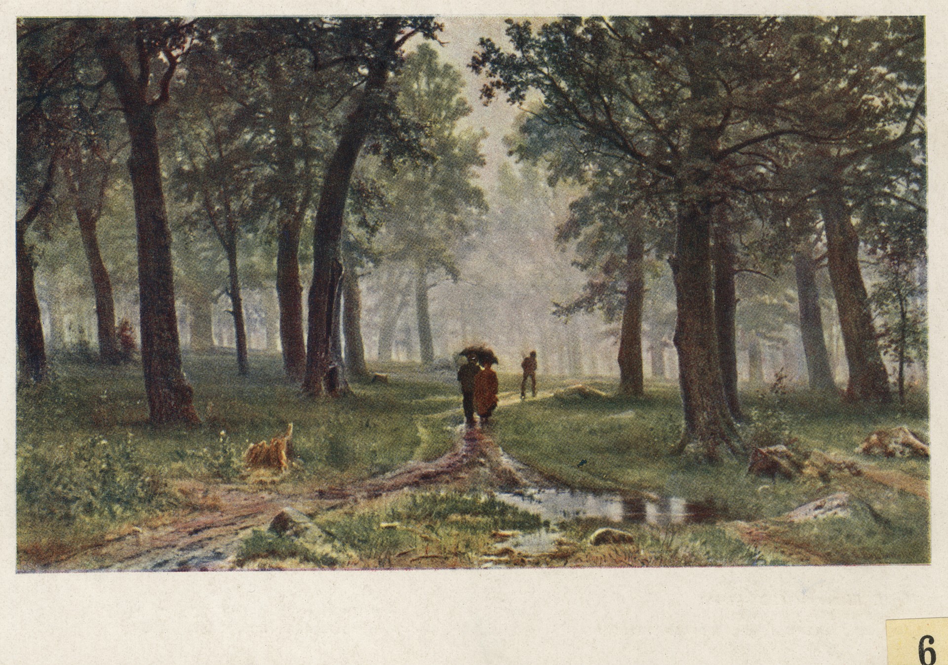 Дождь в дубовом лесу