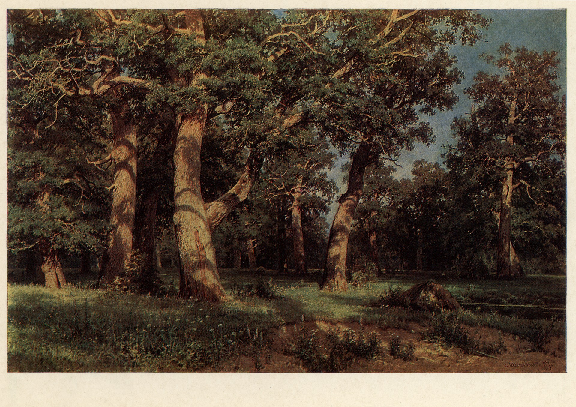 Дубовая роща