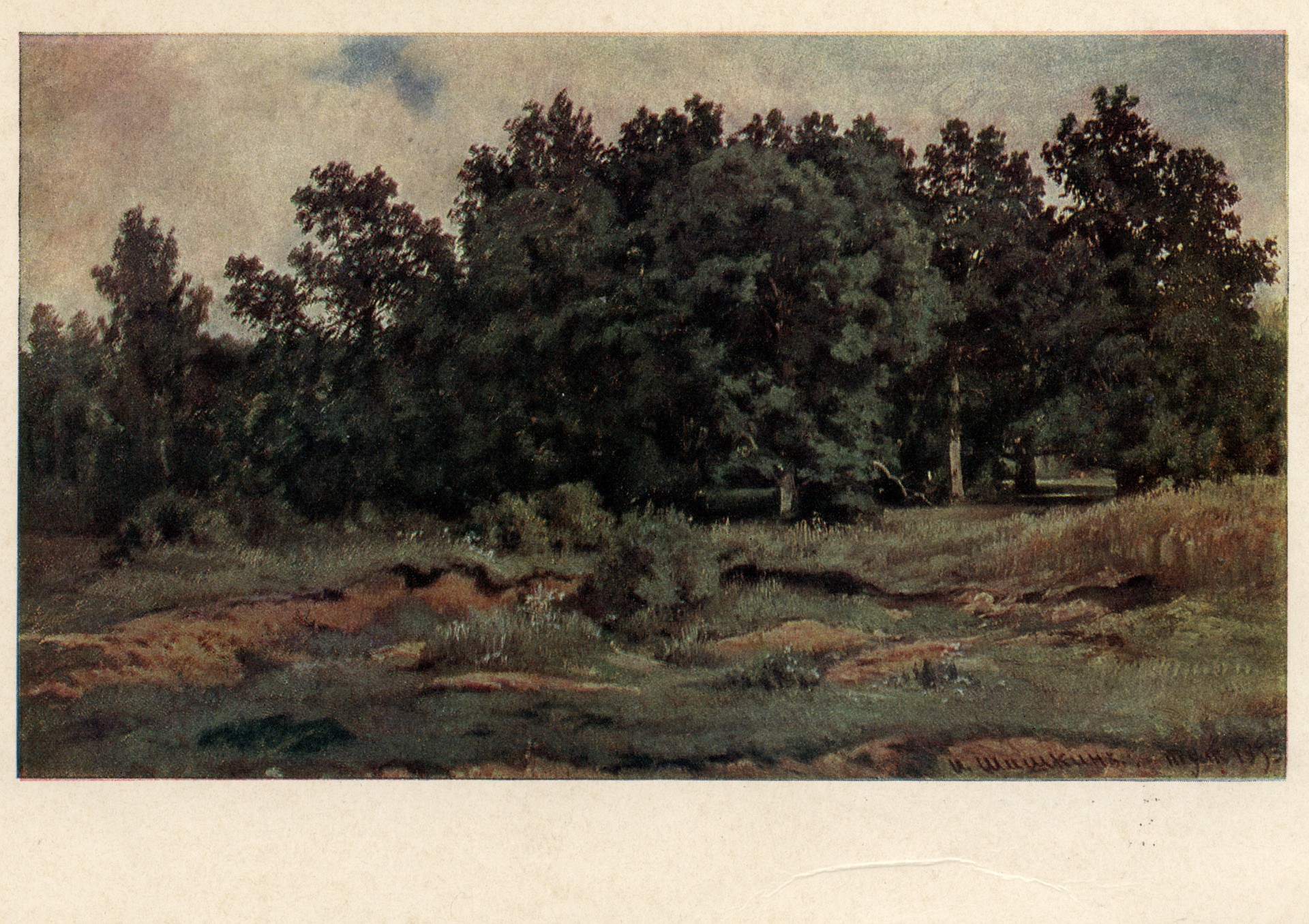 Дубовый лесок в серый день