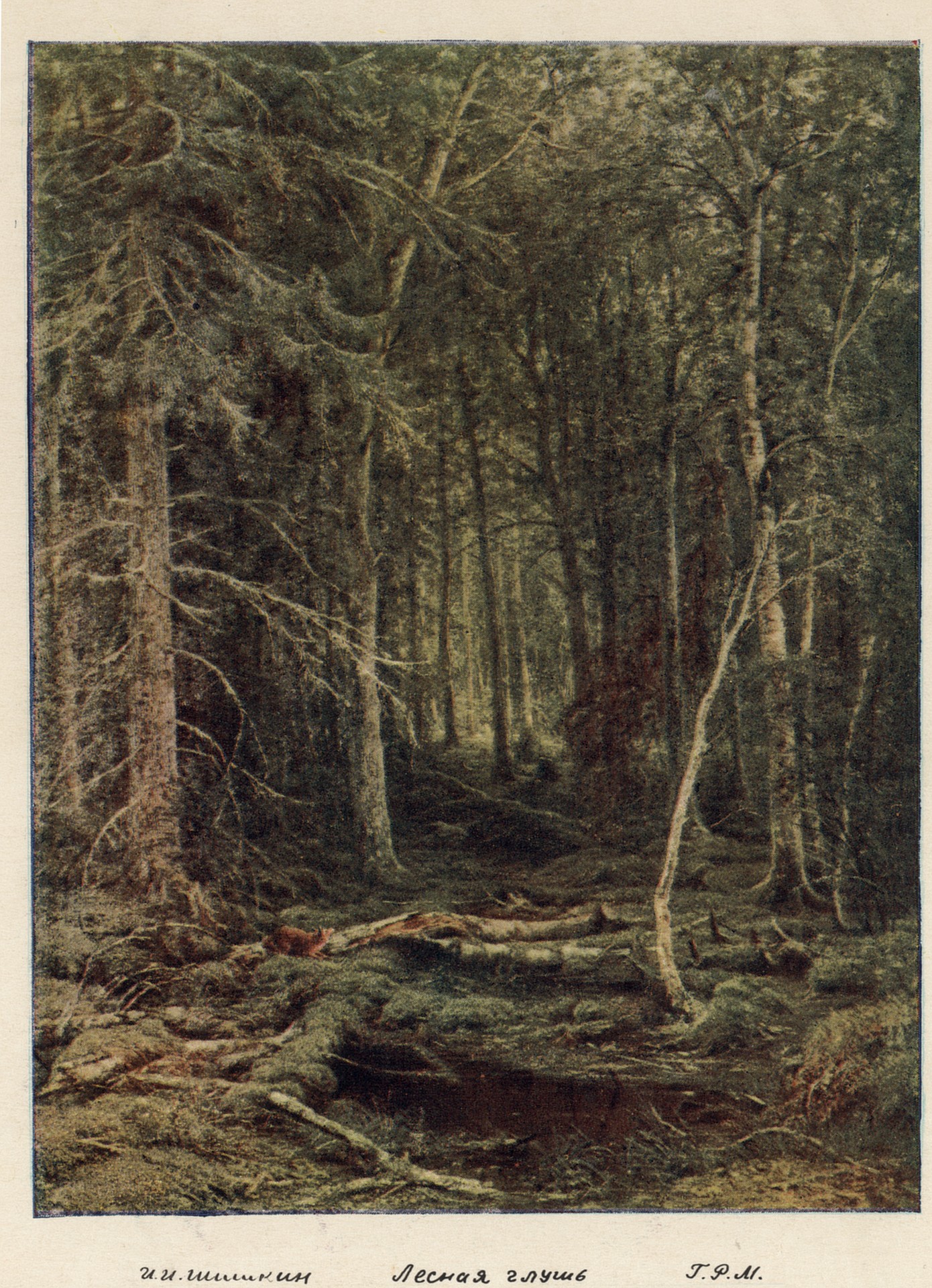 Лесная глушь