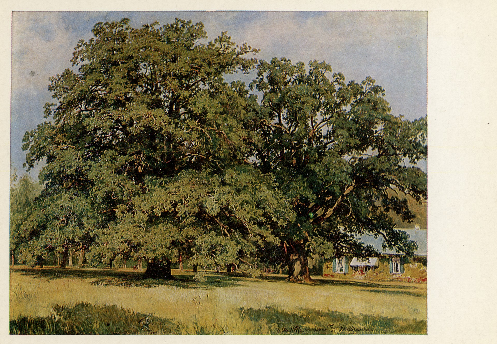 Мордвиновские дубы