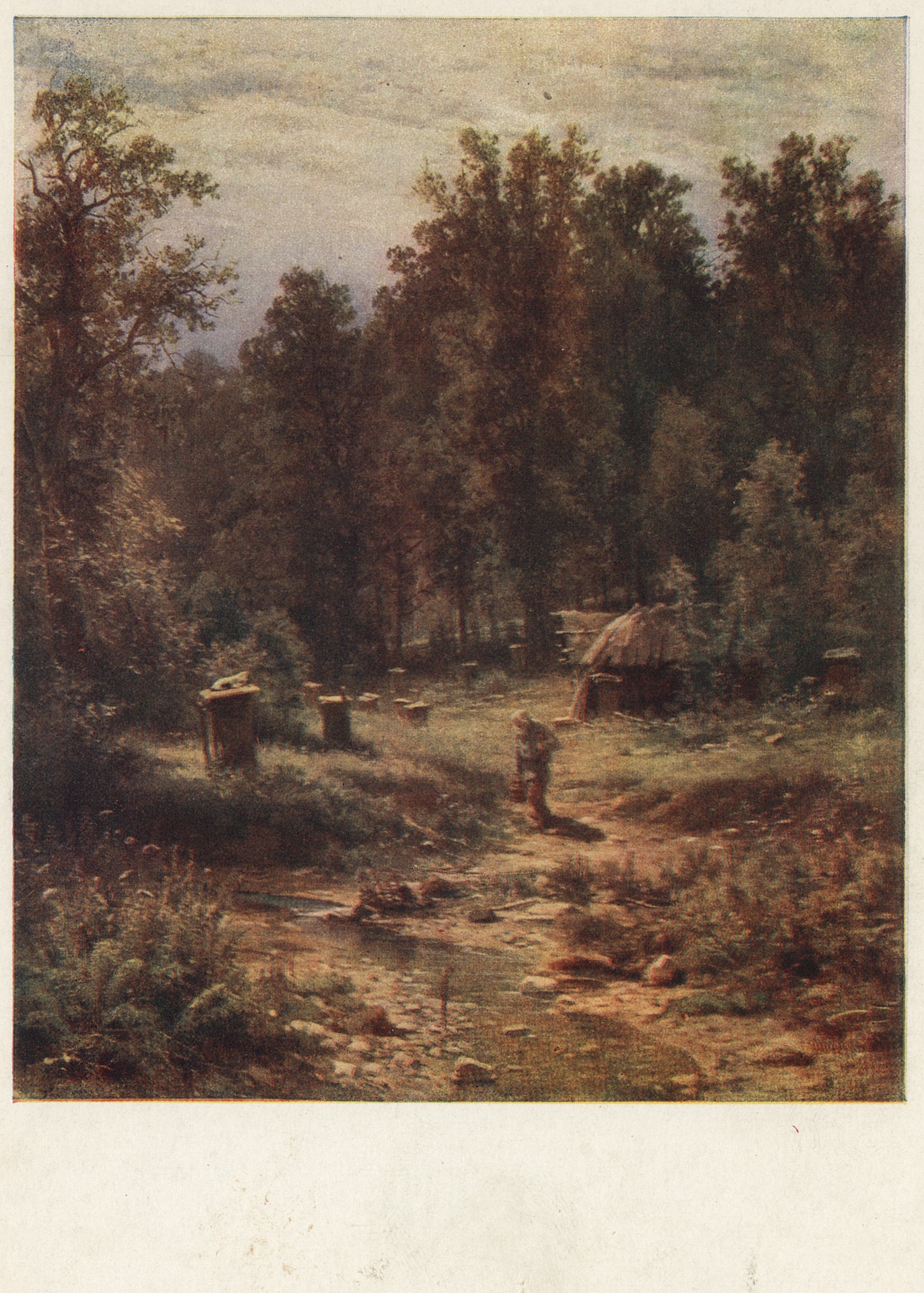 Пасека в лесу