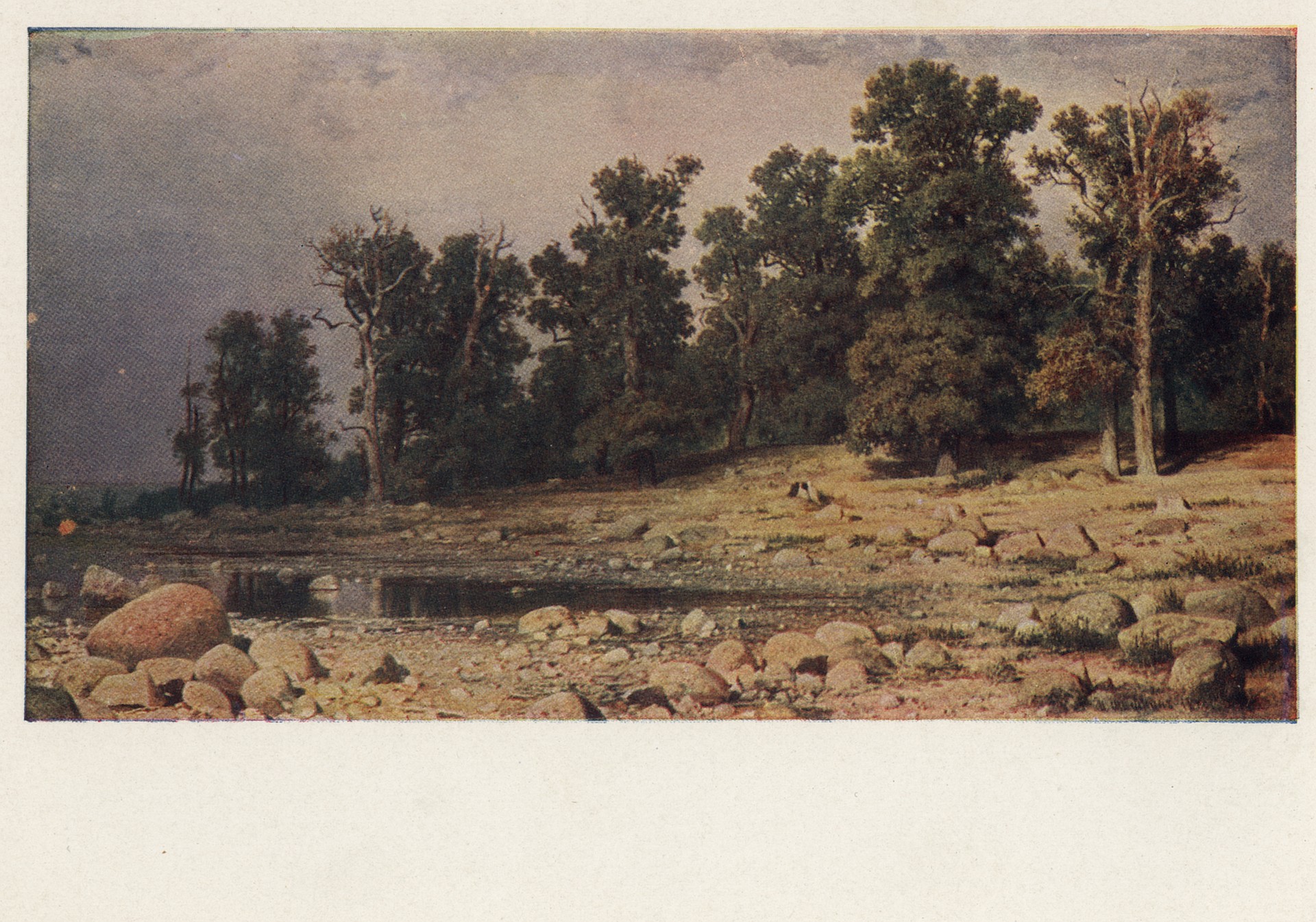 Побережье дубовой рощи в Сестрорецке