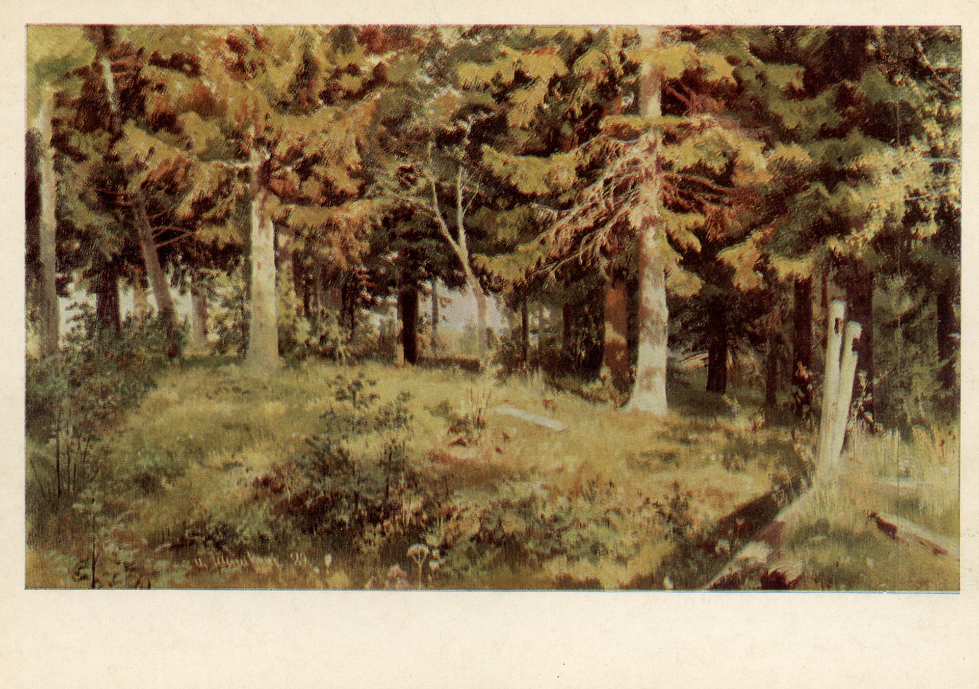 Поляна в лесу