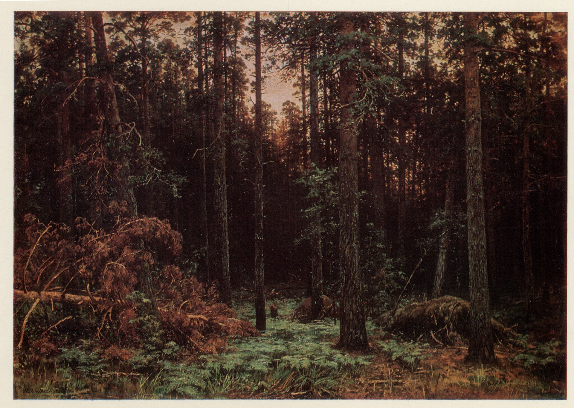 Сосновый лес