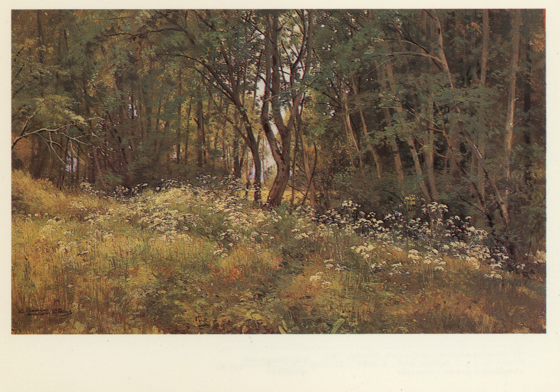 Цветы на опушке леса. Этюд для картины Лес на берегу моря