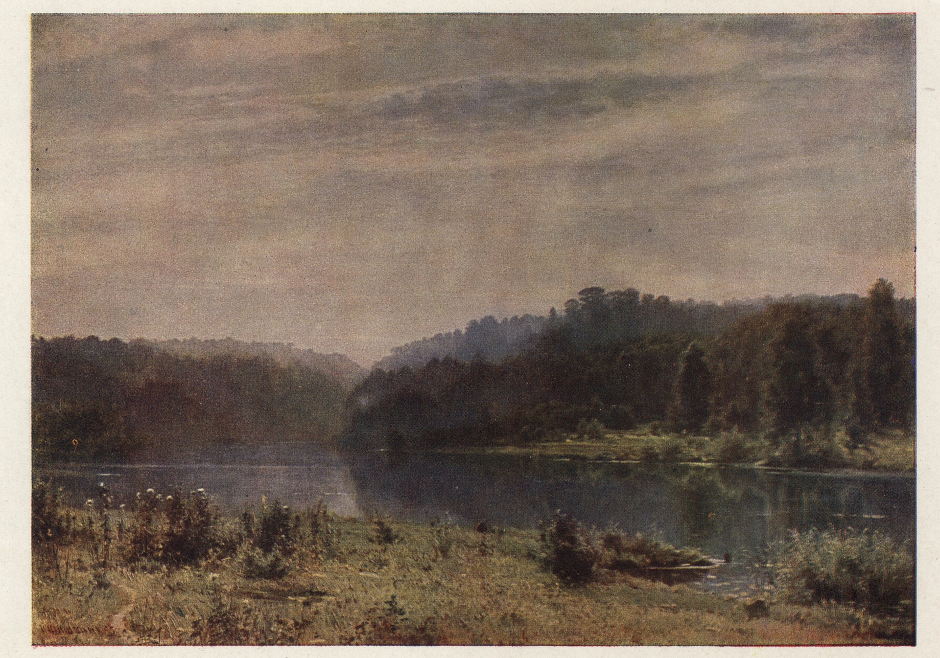 Туманное утро