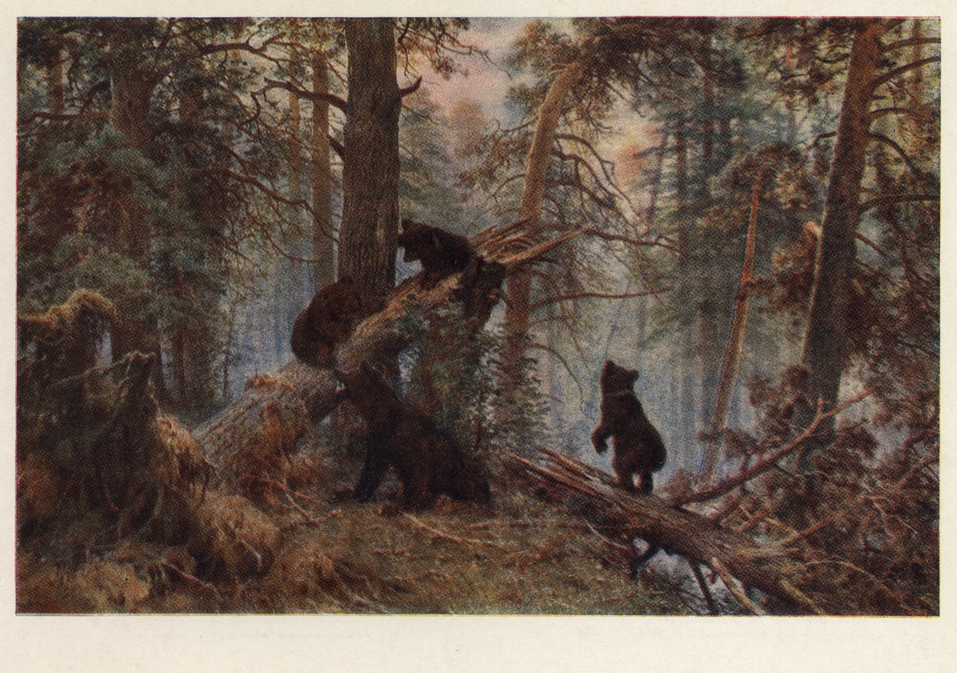 Утро в сосновом лесу