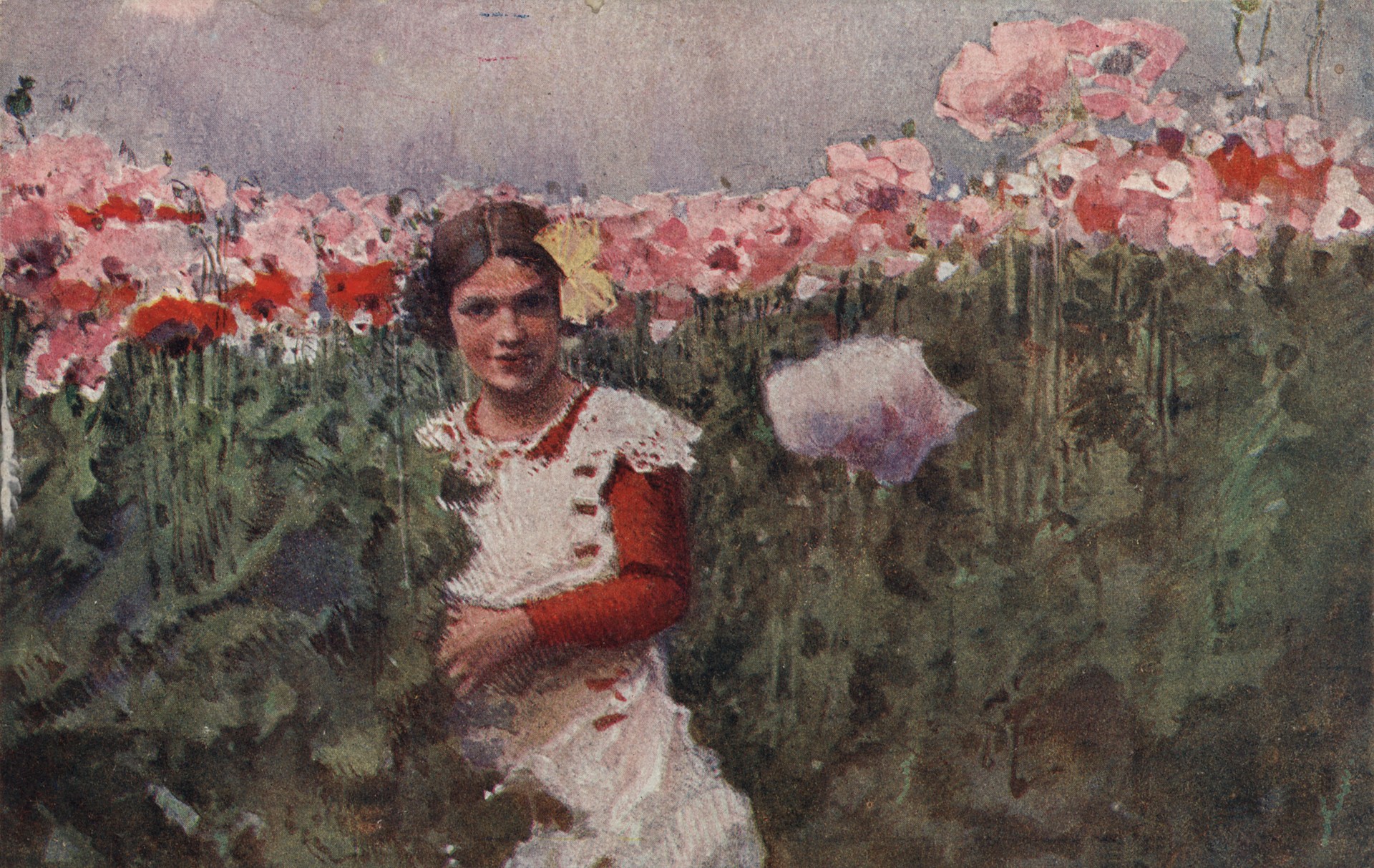 Маковый цвет